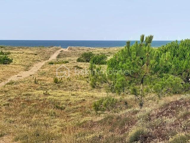 CHEMIN PLAGE .jpg