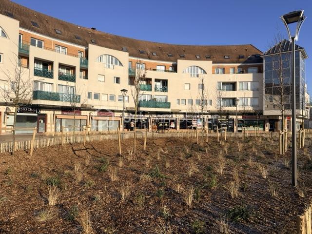 Appartement de 65 m² - IMG_1115 - Moyenne.jpeg