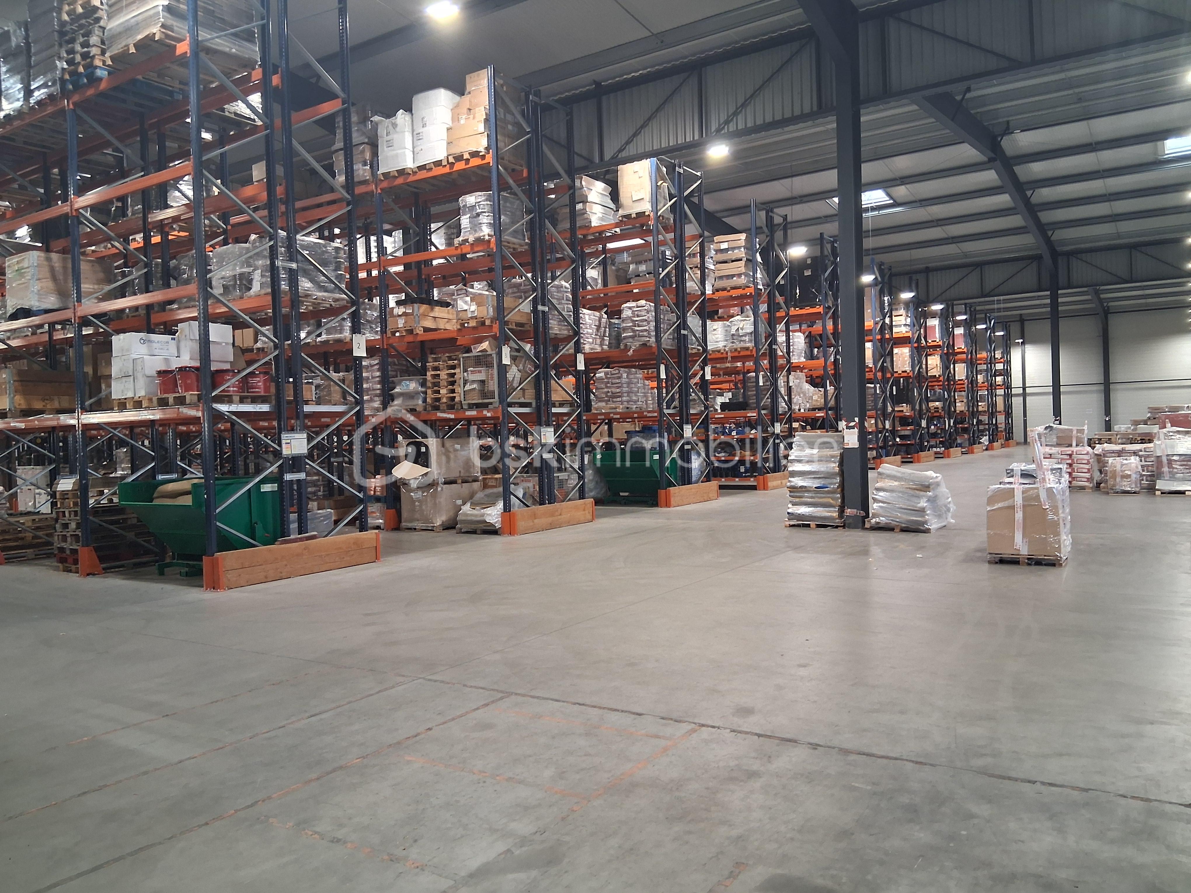 Local commercial de 4 279 m² - image00008.jpeg