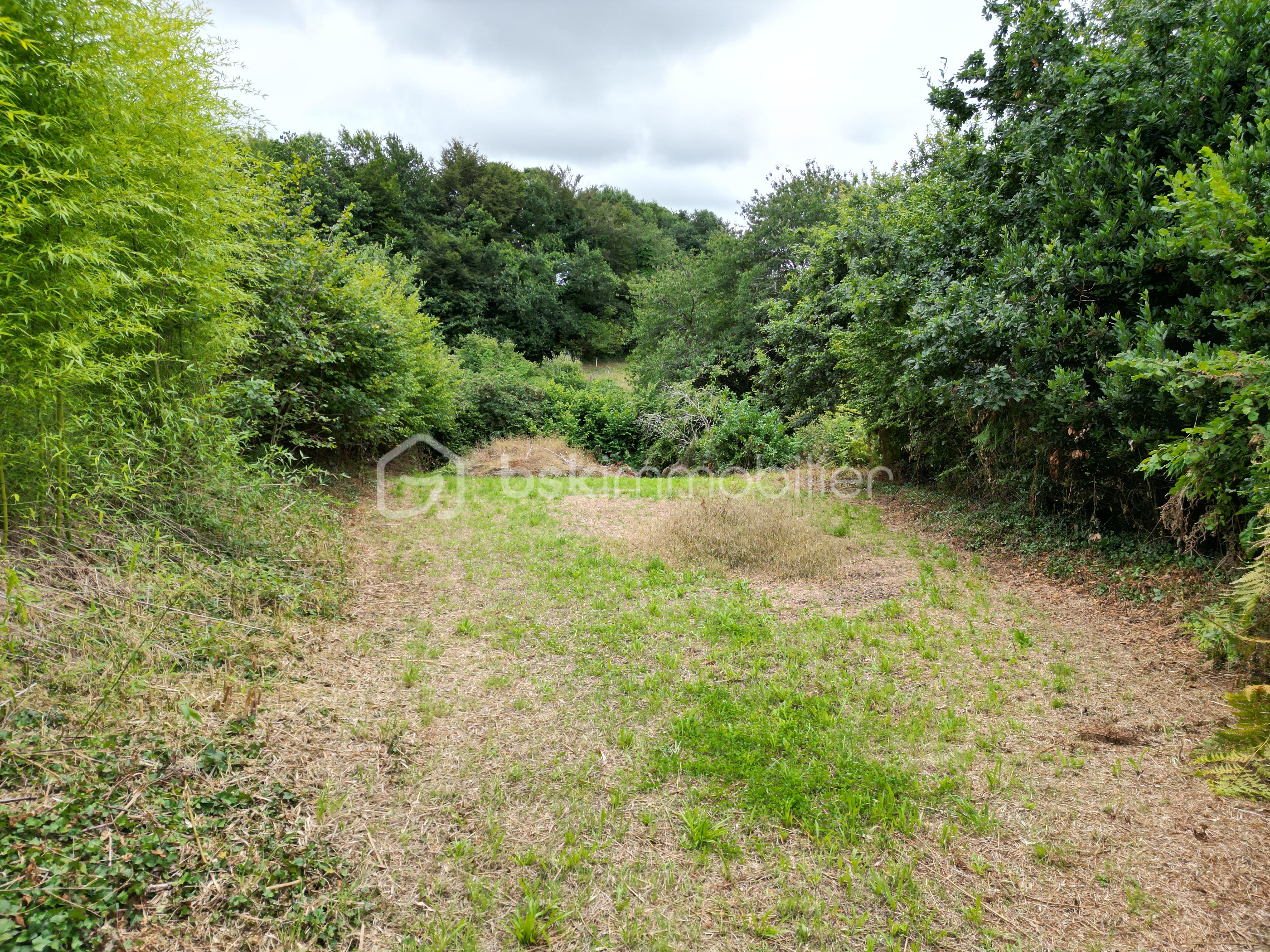 Terrain de 922 m² - DJI_0486.JPG