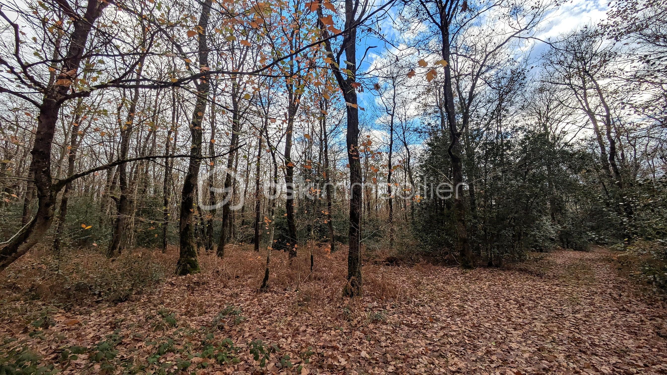 Demeure de 183 m² - PXL_20251121_142210109.jpg