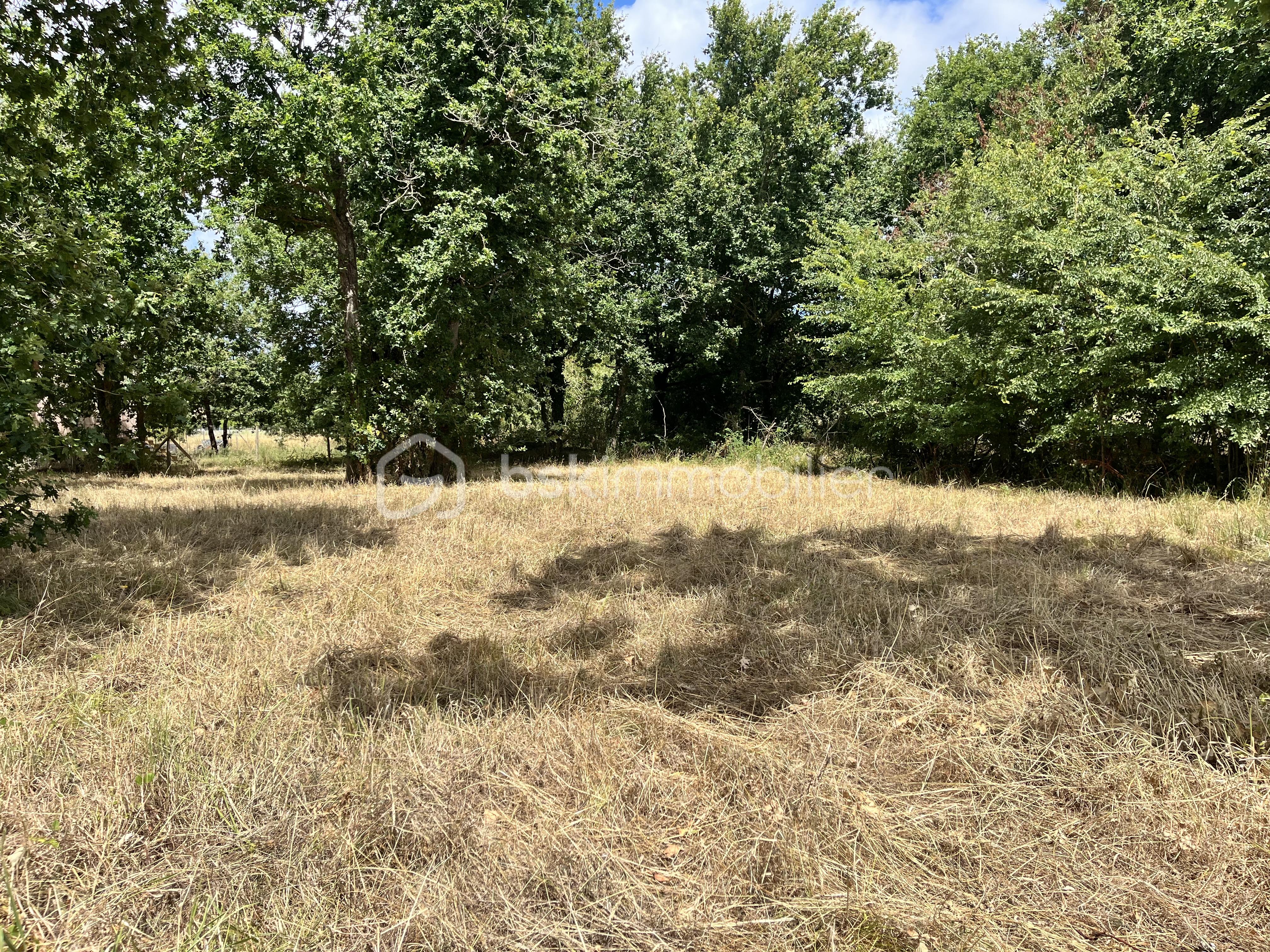 Terrain de 1 022 m² - IMG_1678.jpeg