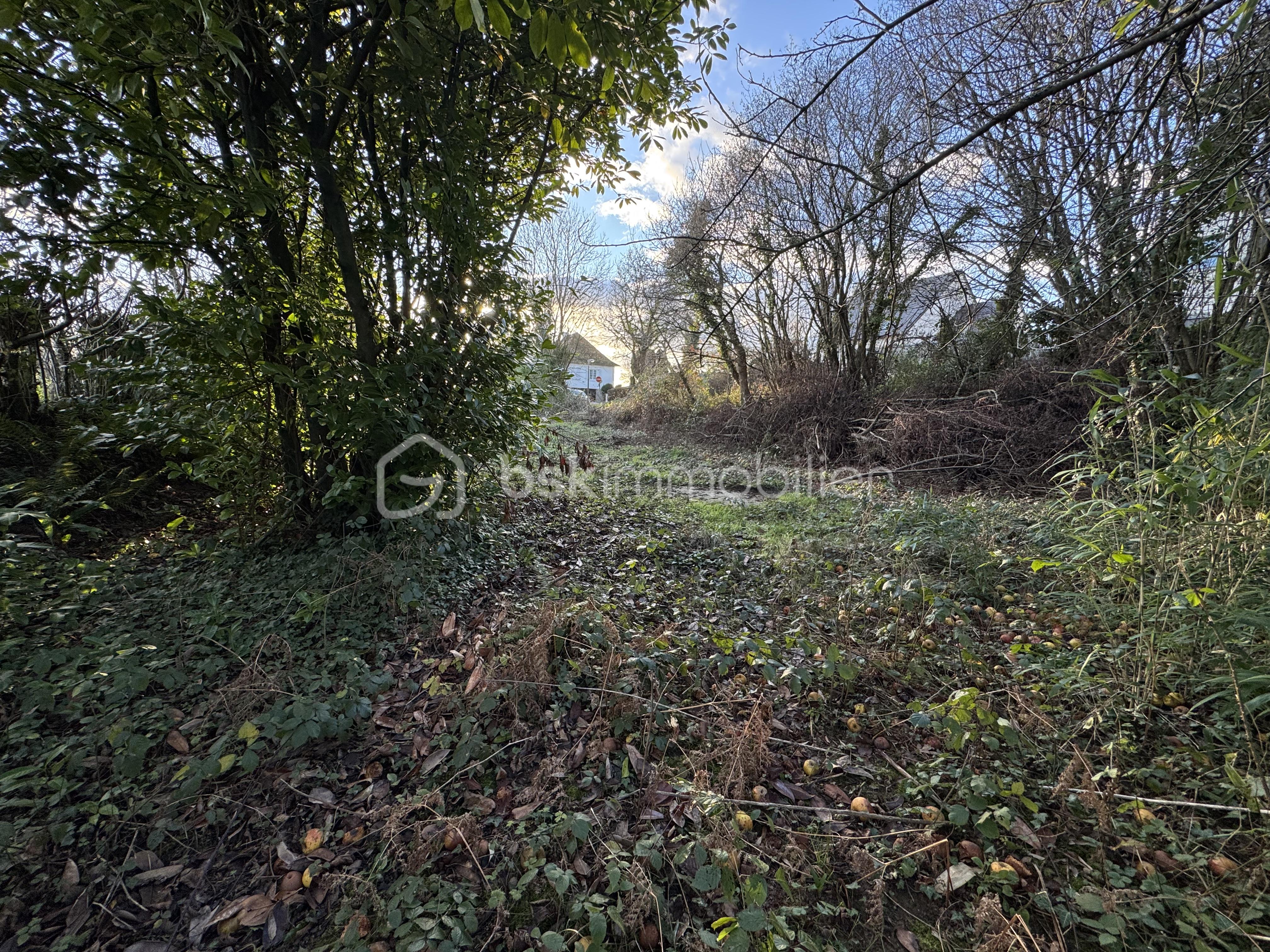 Terrain de 494 m² - IMG_4920.jpeg