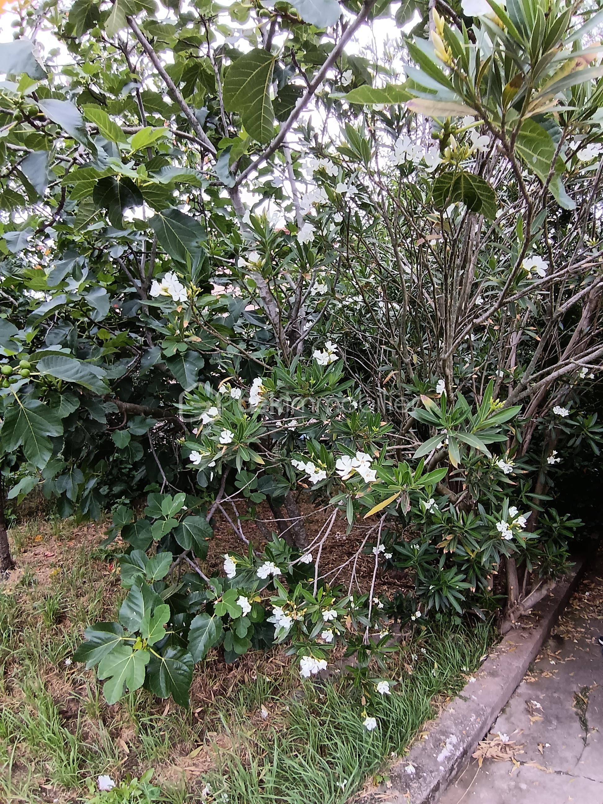 IMG_20260610_124323.jpg
