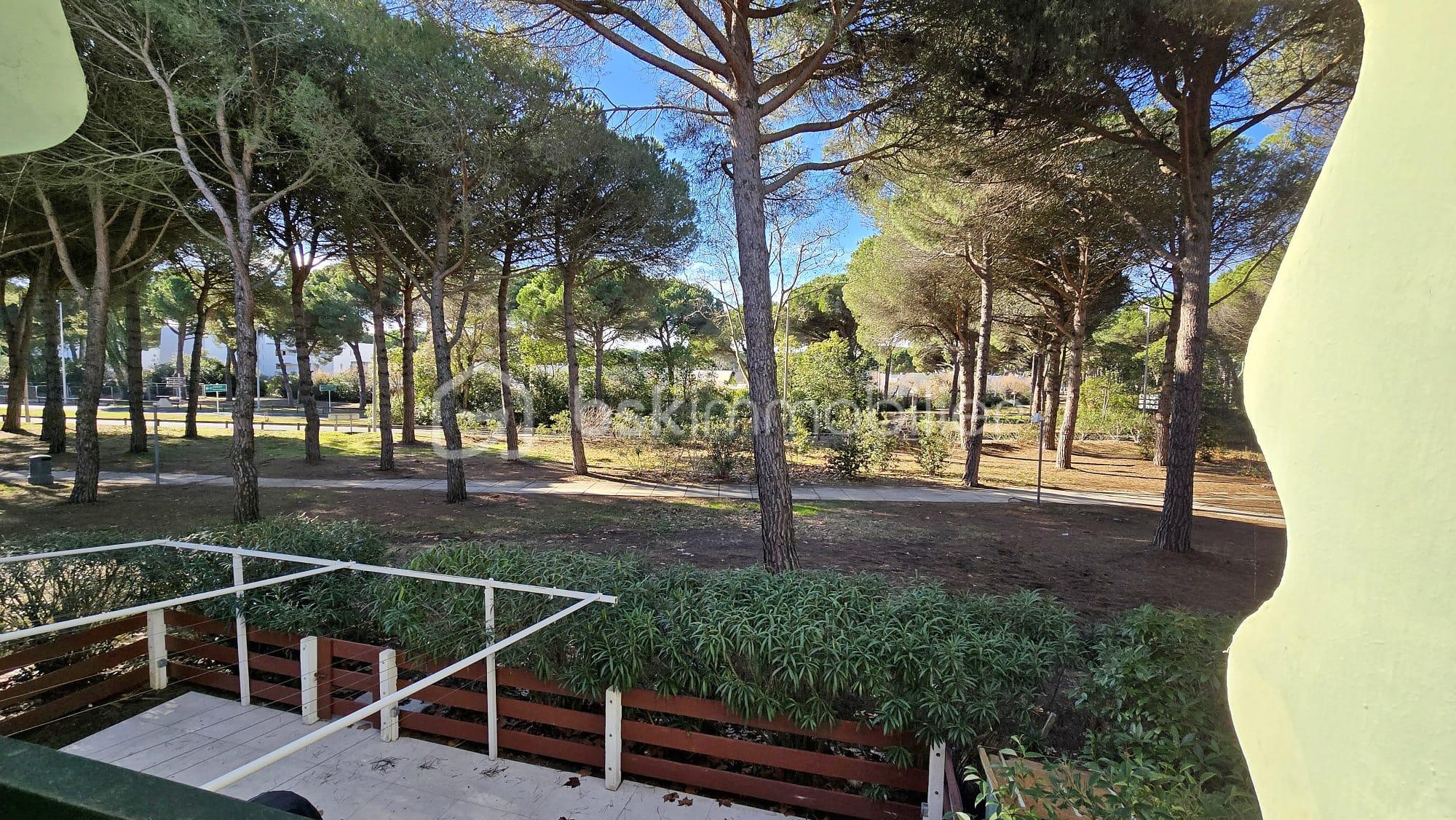 Appartement de 26 m² - WhatsApp Image 2026-01-30 at 08.35.48.3.jpeg