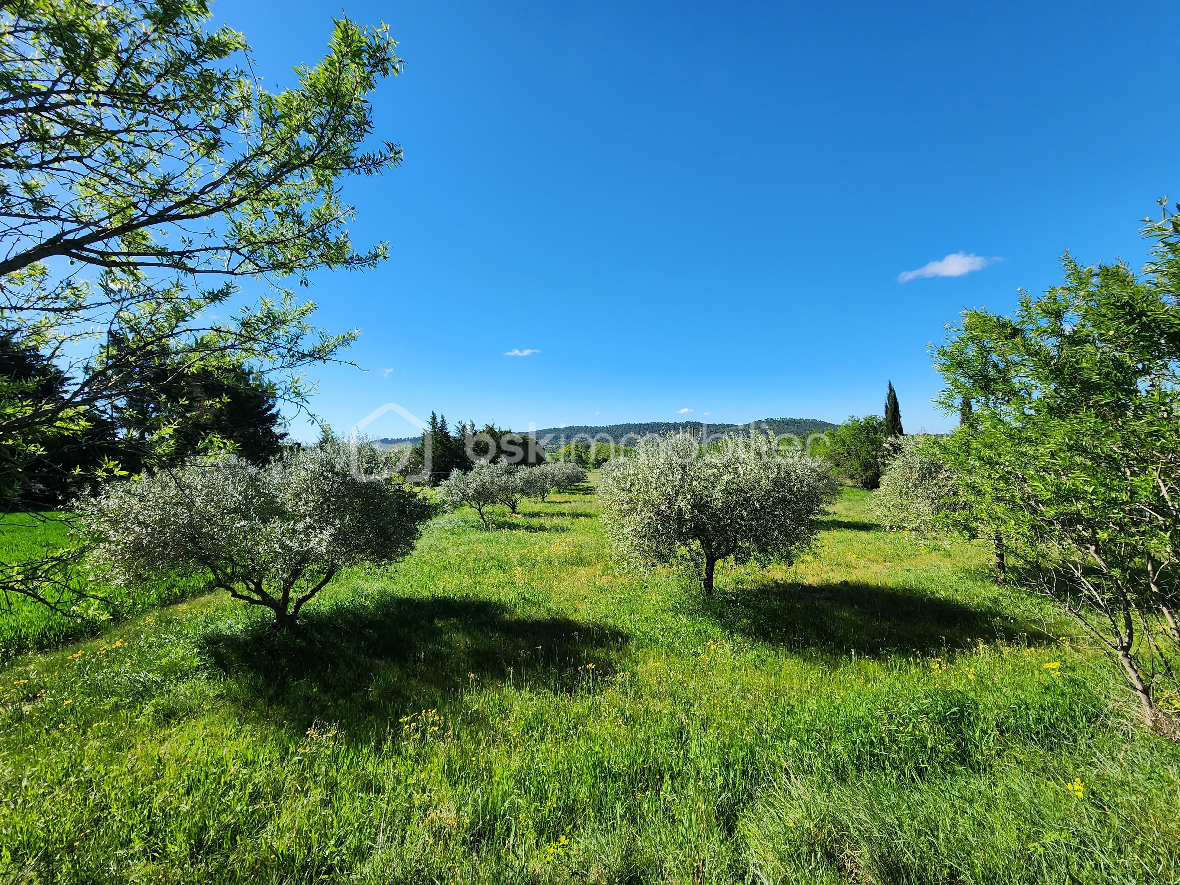 Bergerie de 369 m² - OLIVERAIE.jpg