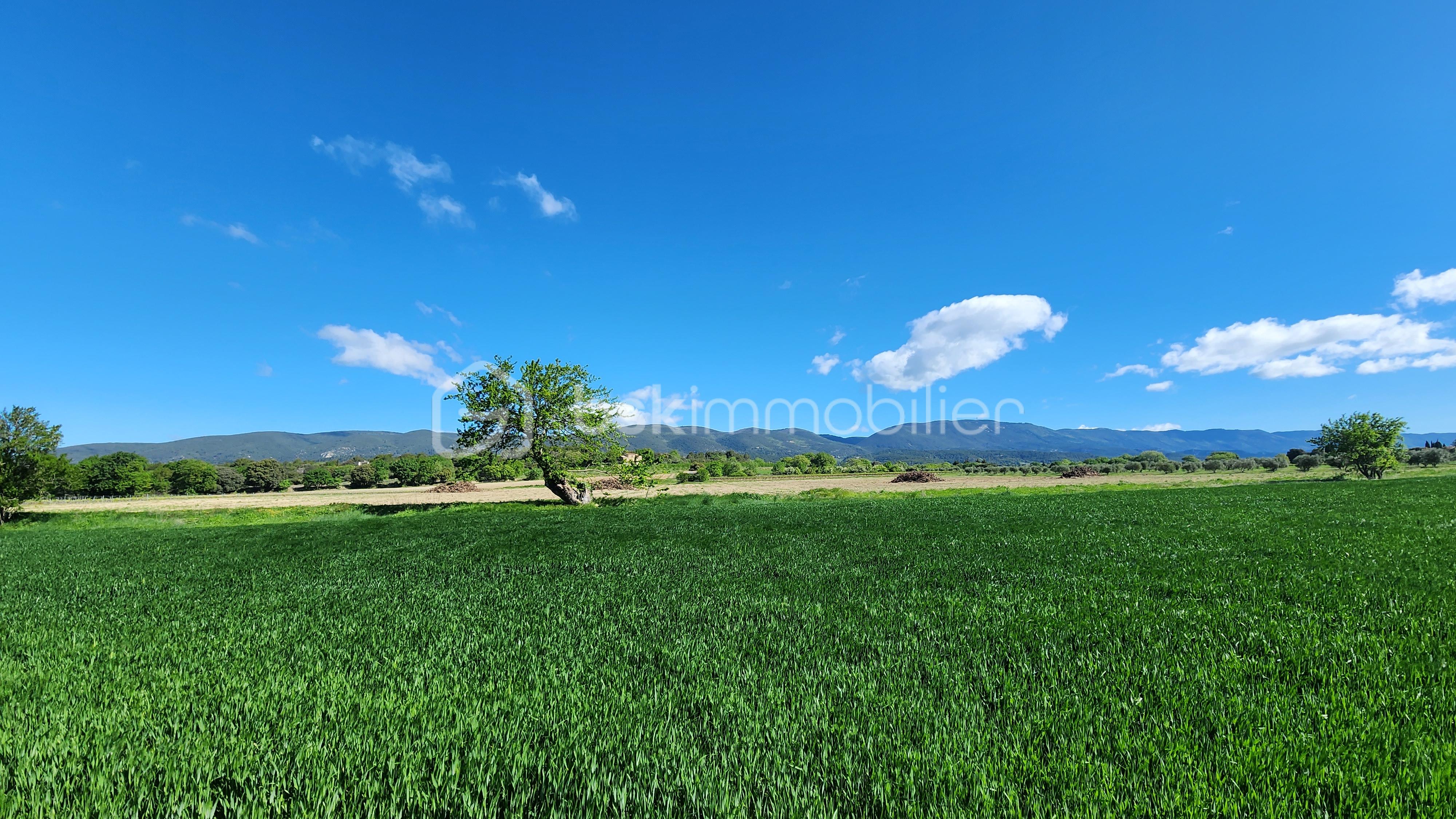 Bergerie de 369 m² - VUE.jpg