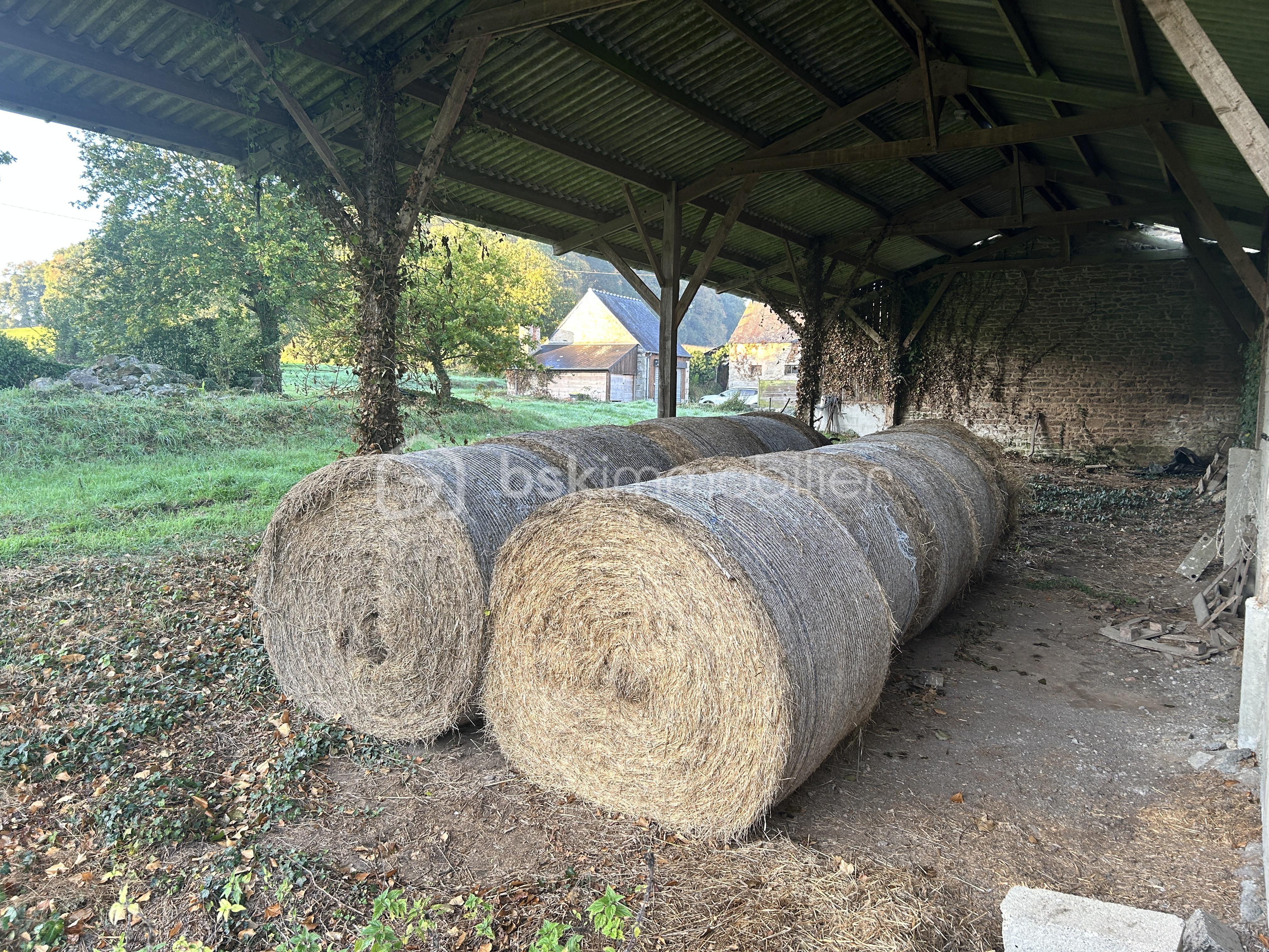Corps de ferme de 190 m² - IMG_6037.jpeg