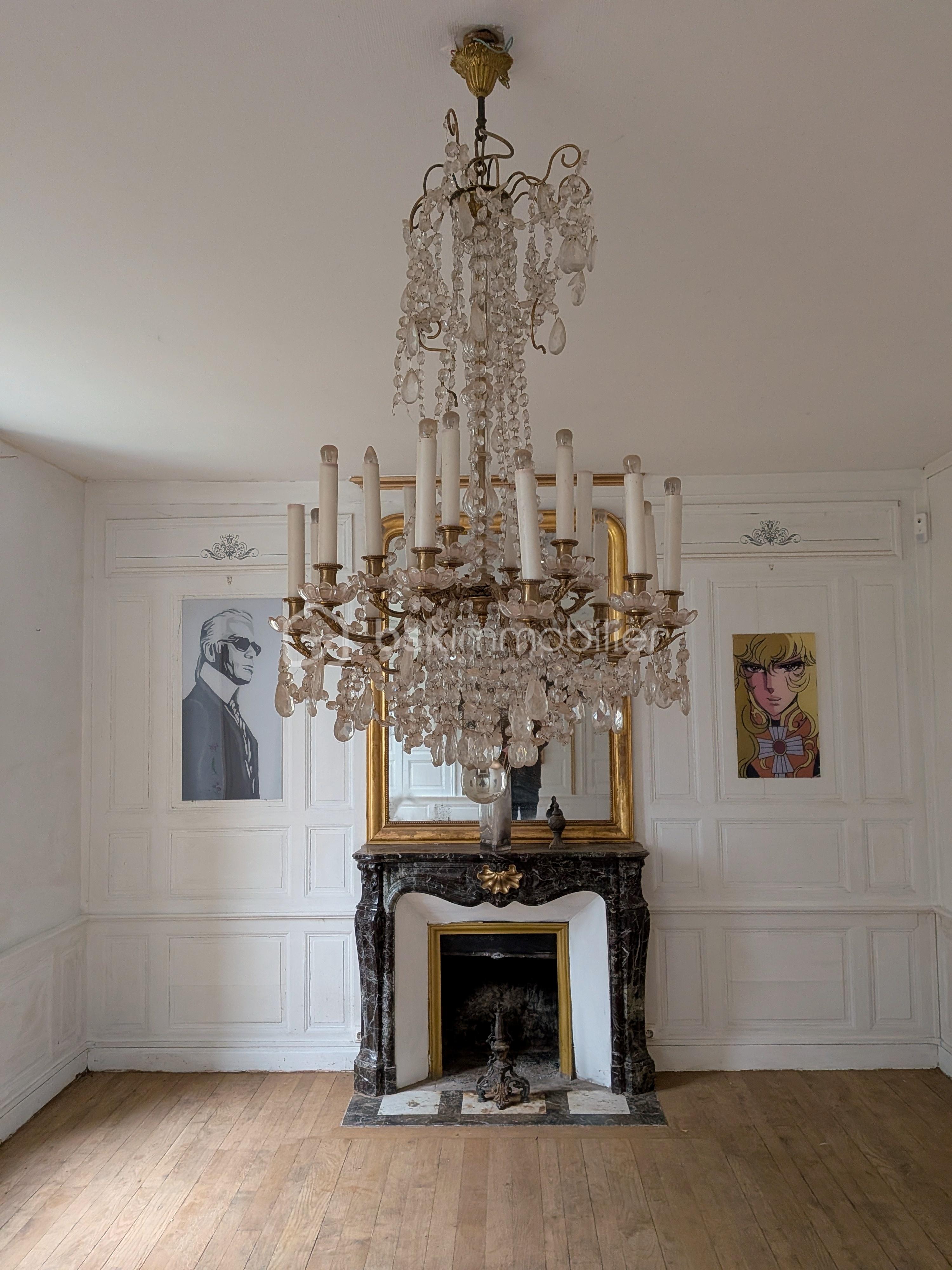 Maison de maitre de 5 945 m² - PXL_20251125_144450474.MP.jpg