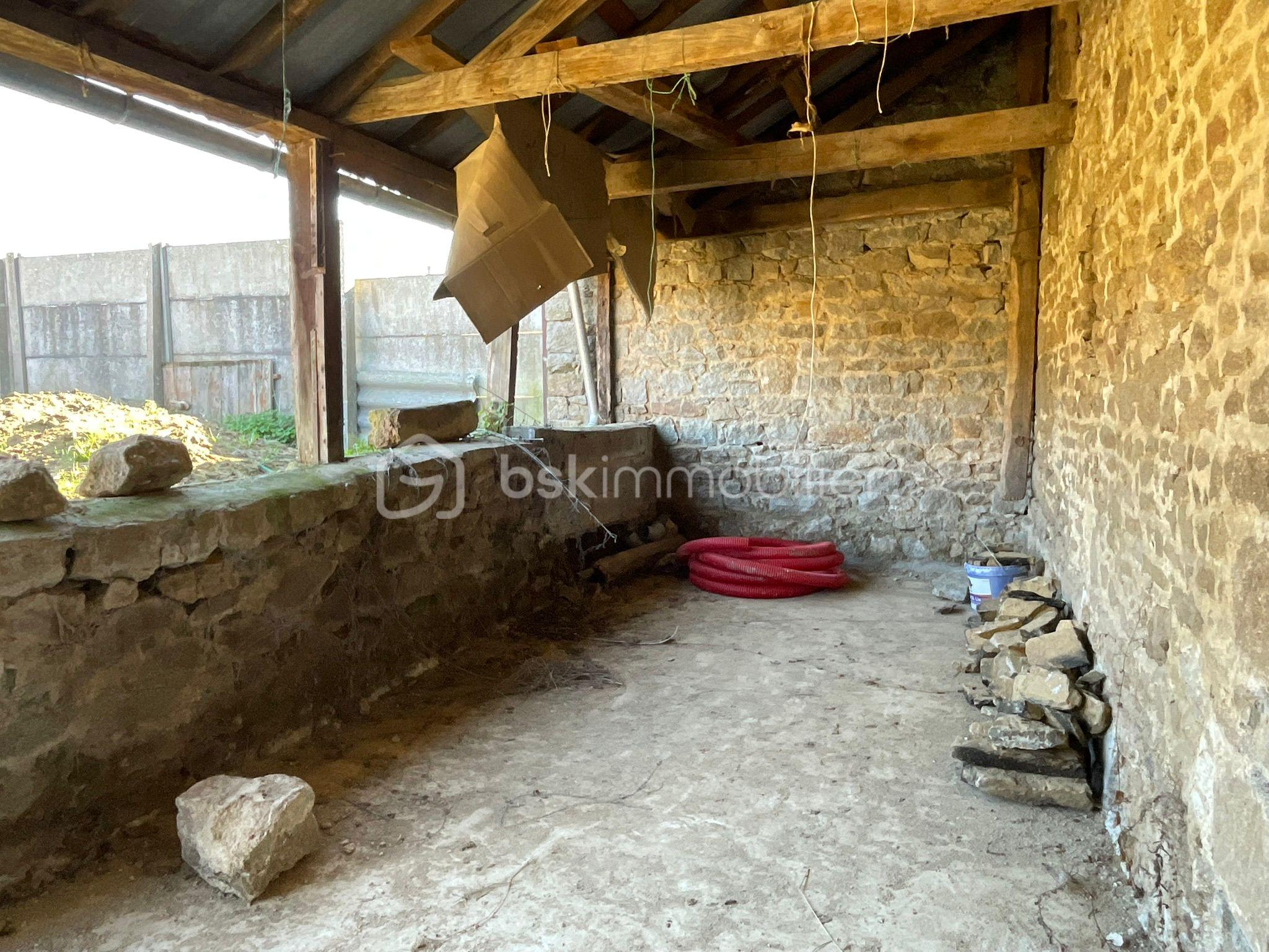 WhatsApp Image 2026-03-11 at 19.11.222.jpeg