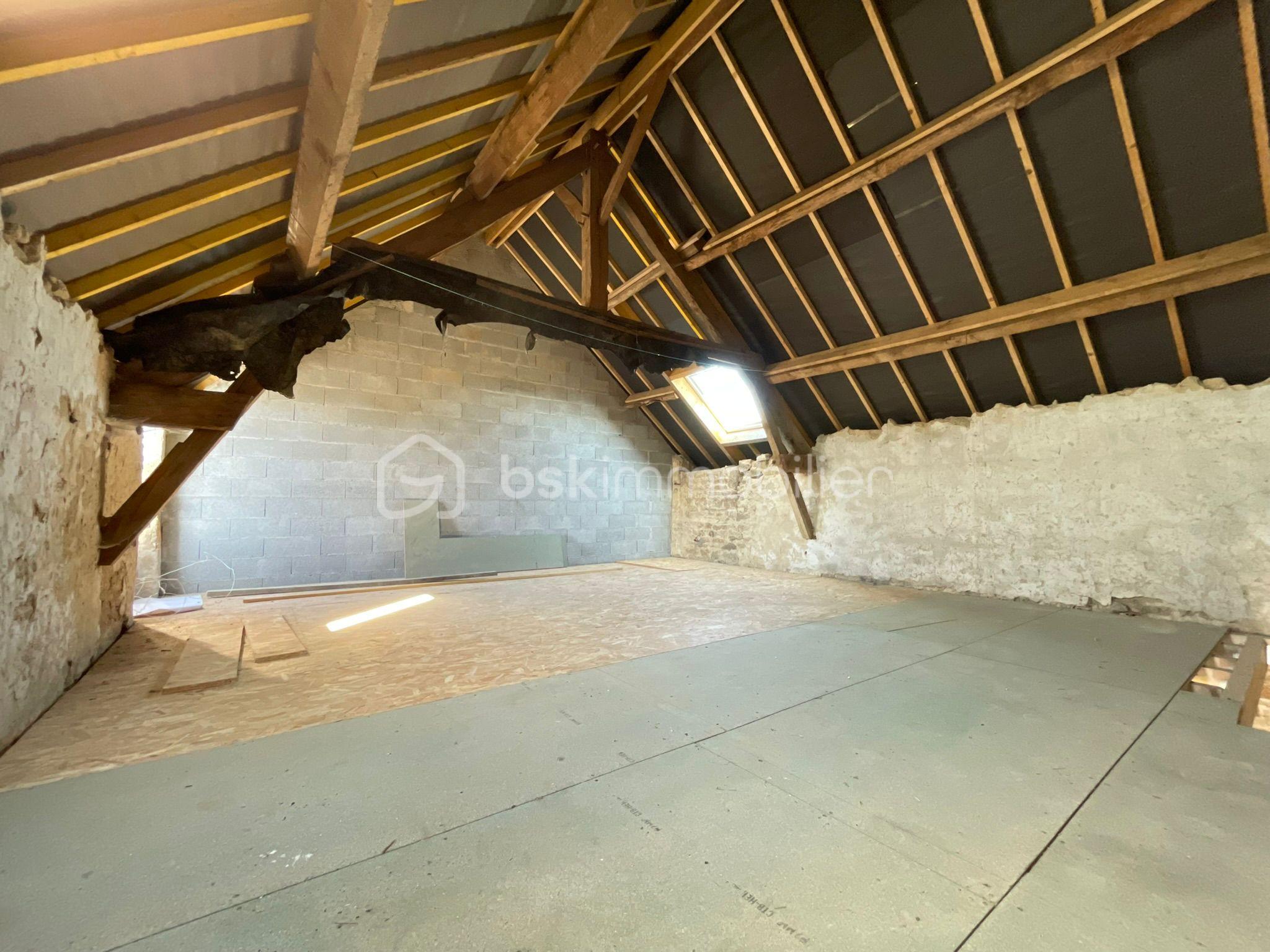 WhatsApp Image 2026-03-11 at 19.11.237.jpeg