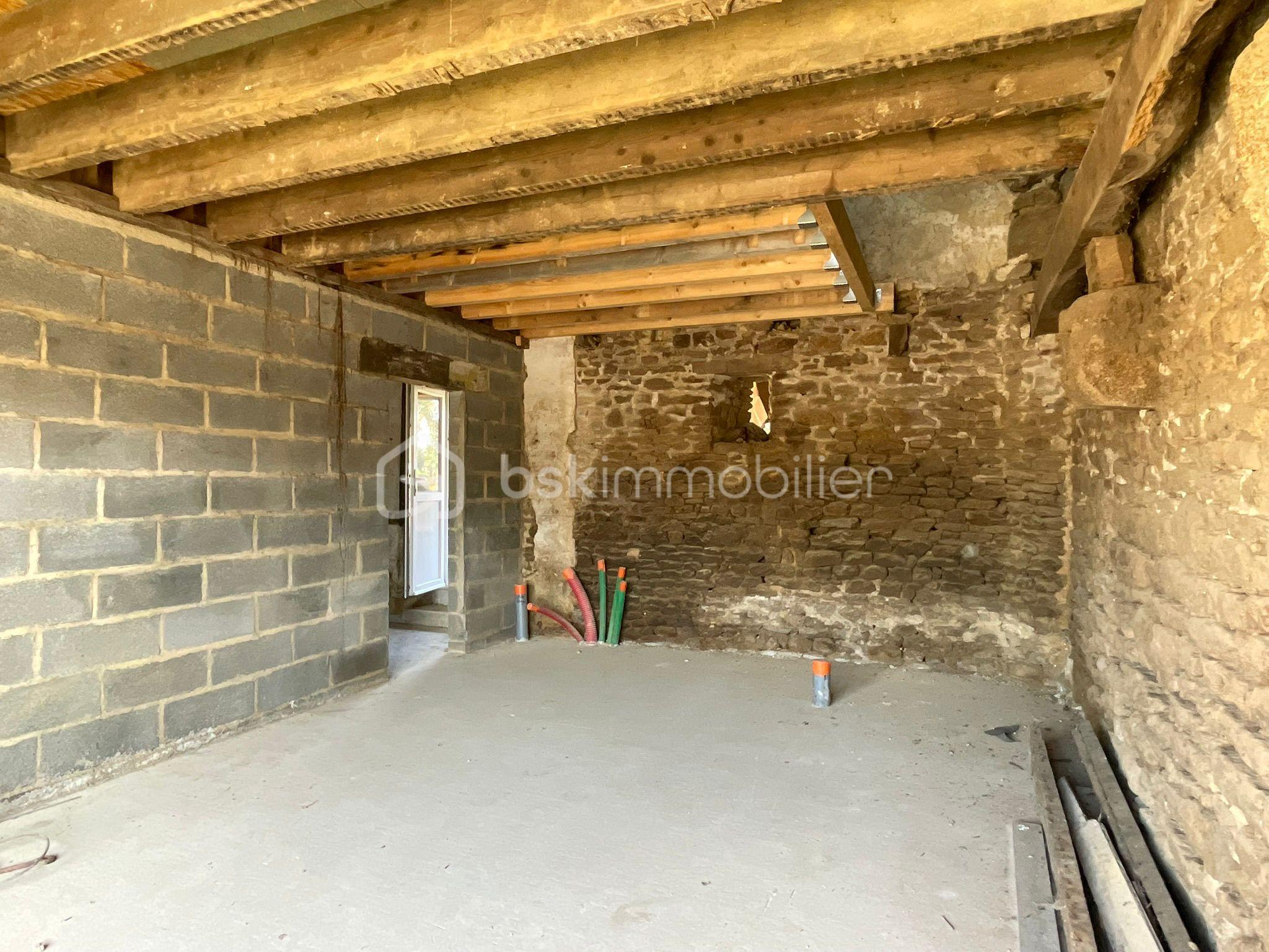 WhatsApp Image 2026-03-11 at 19.11.235.jpeg