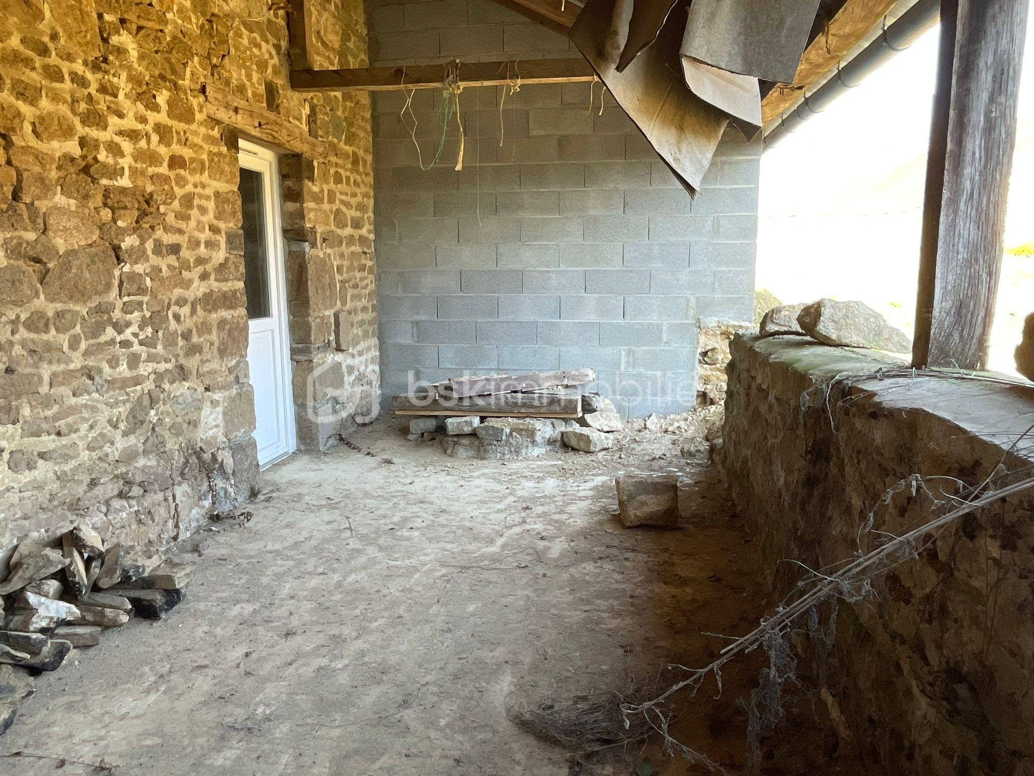 WhatsApp Image 2026-03-11 at 19.11.221.jpeg