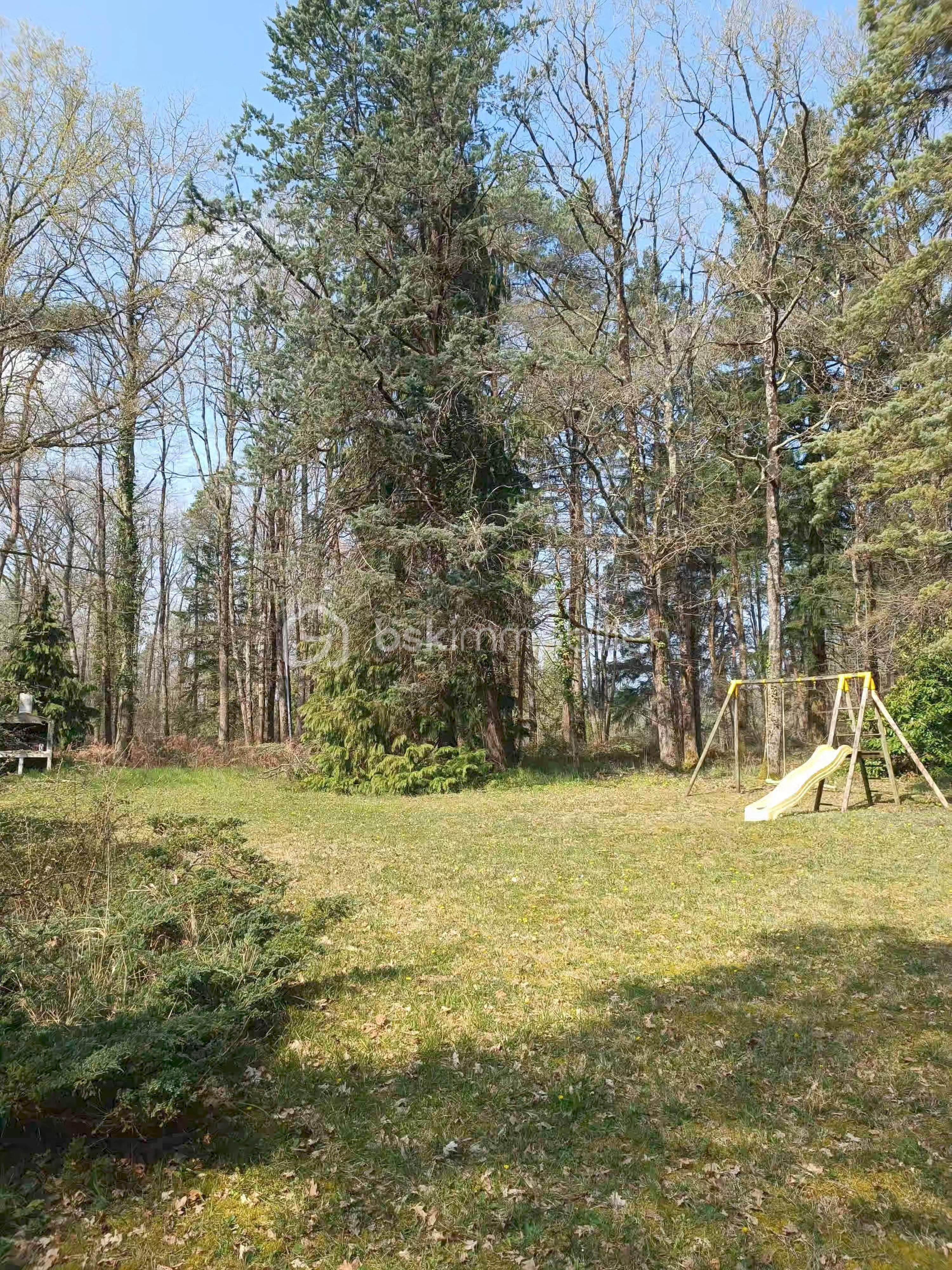 vu balancoire barbec.jpg