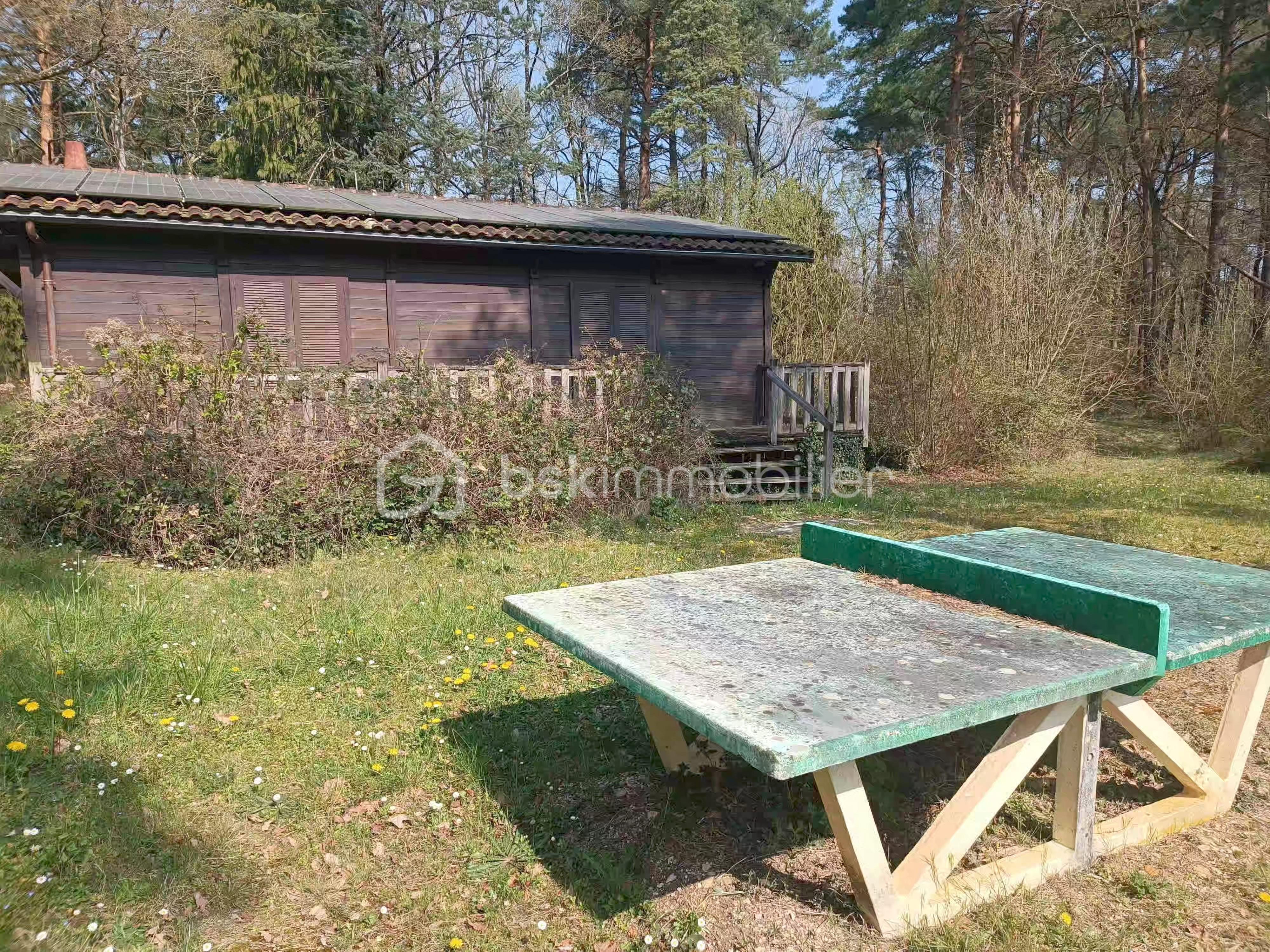 tennis de table .jpg