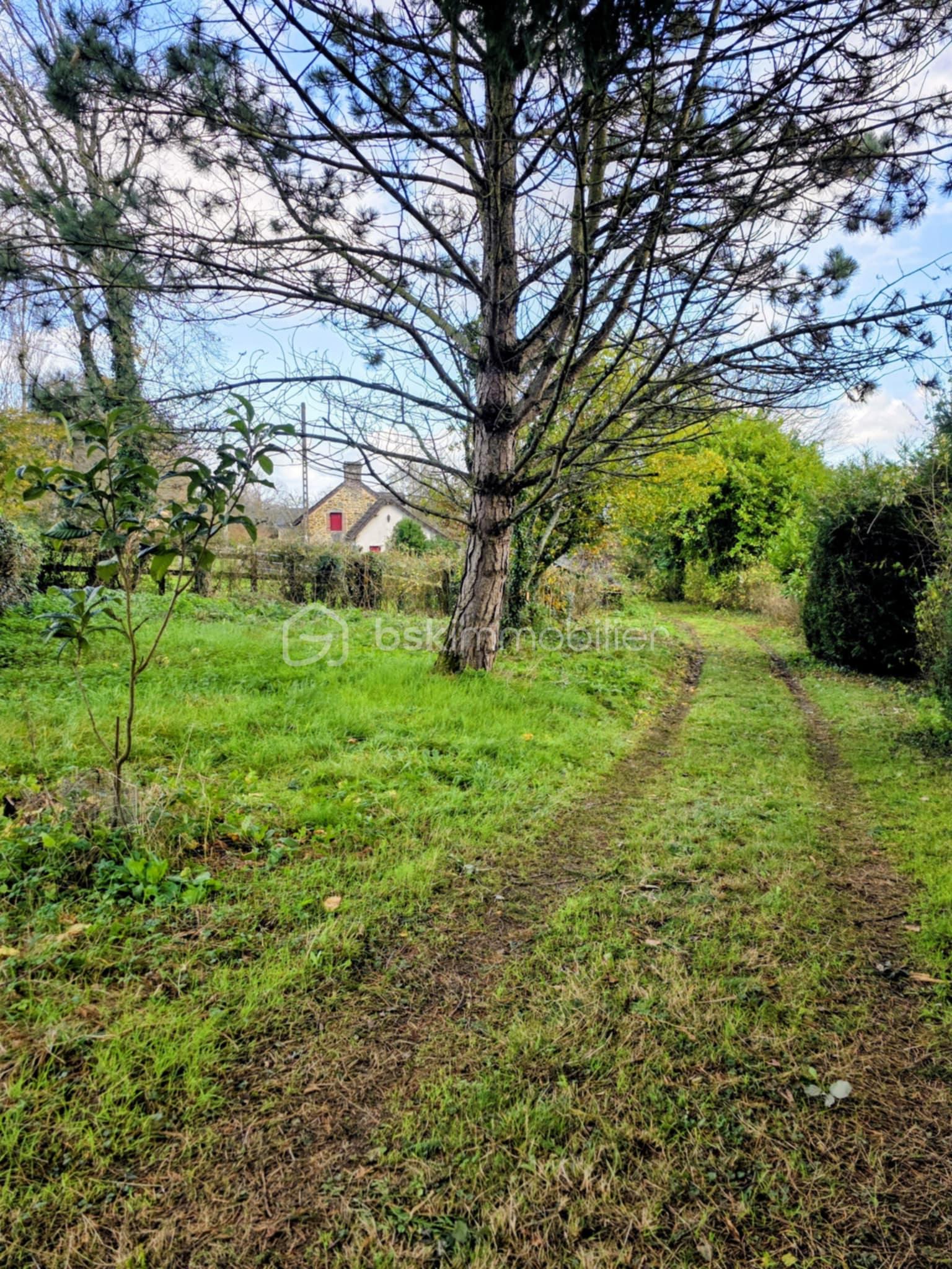 Maison de 76 m² - 2e52177f-b222-4fb6-ae49-52d11cf1f823.jpg