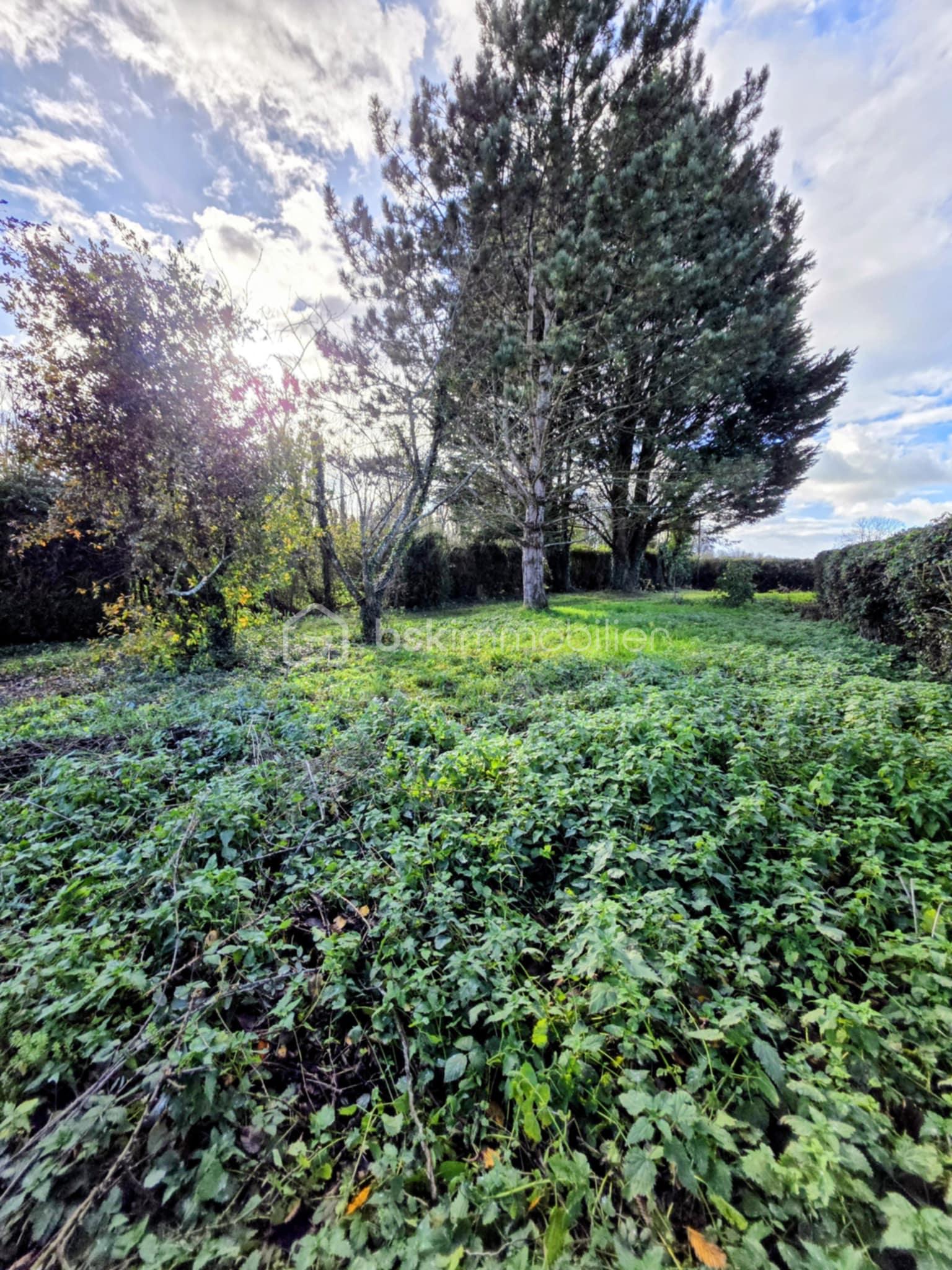 Maison de 76 m² - 08e49fb1-86ea-4571-8ee8-56af98b81d36.jpg