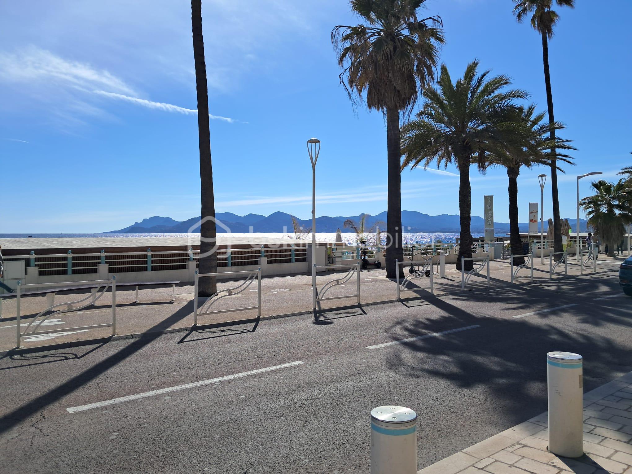 WhatsApp Image 2026-04-02 at 19.22.20.jpeg