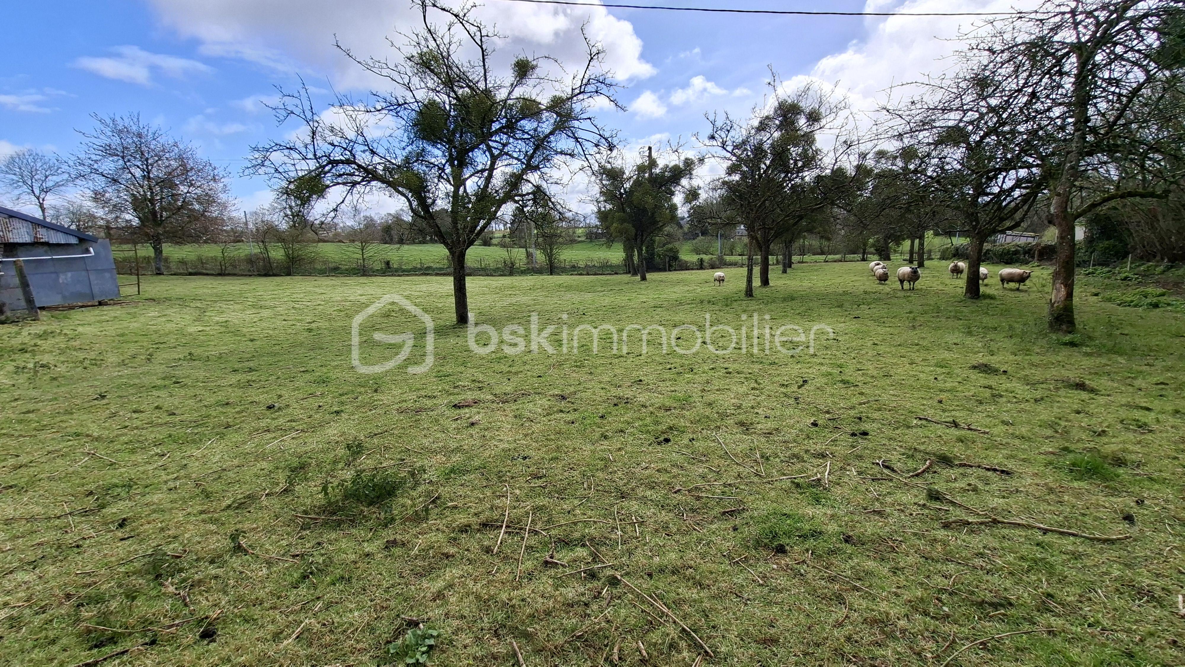 MAUDUIT plant de pommier ple vers impasse .jpg