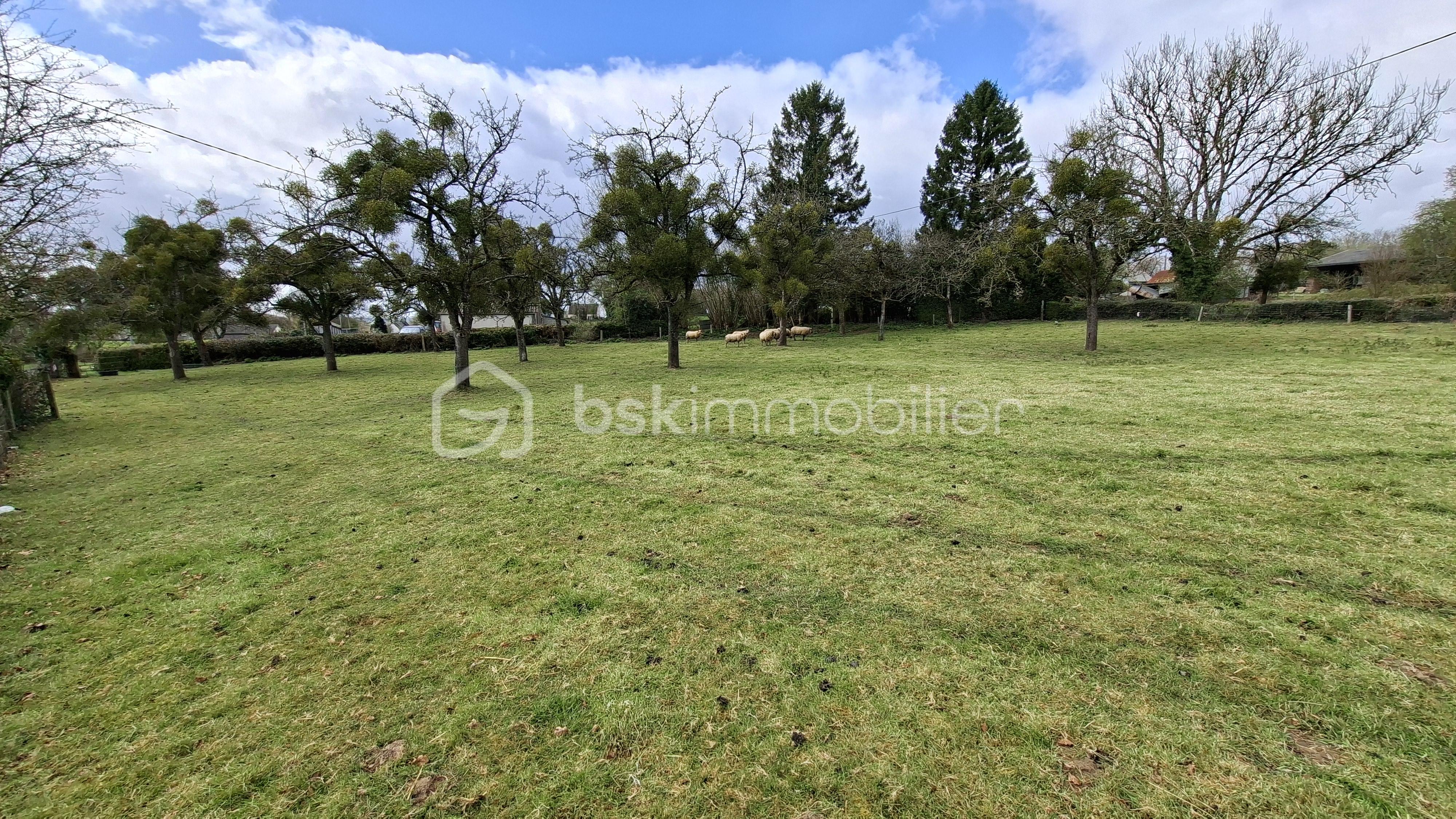 MAUDUIT plant de pommier ple général .jpg