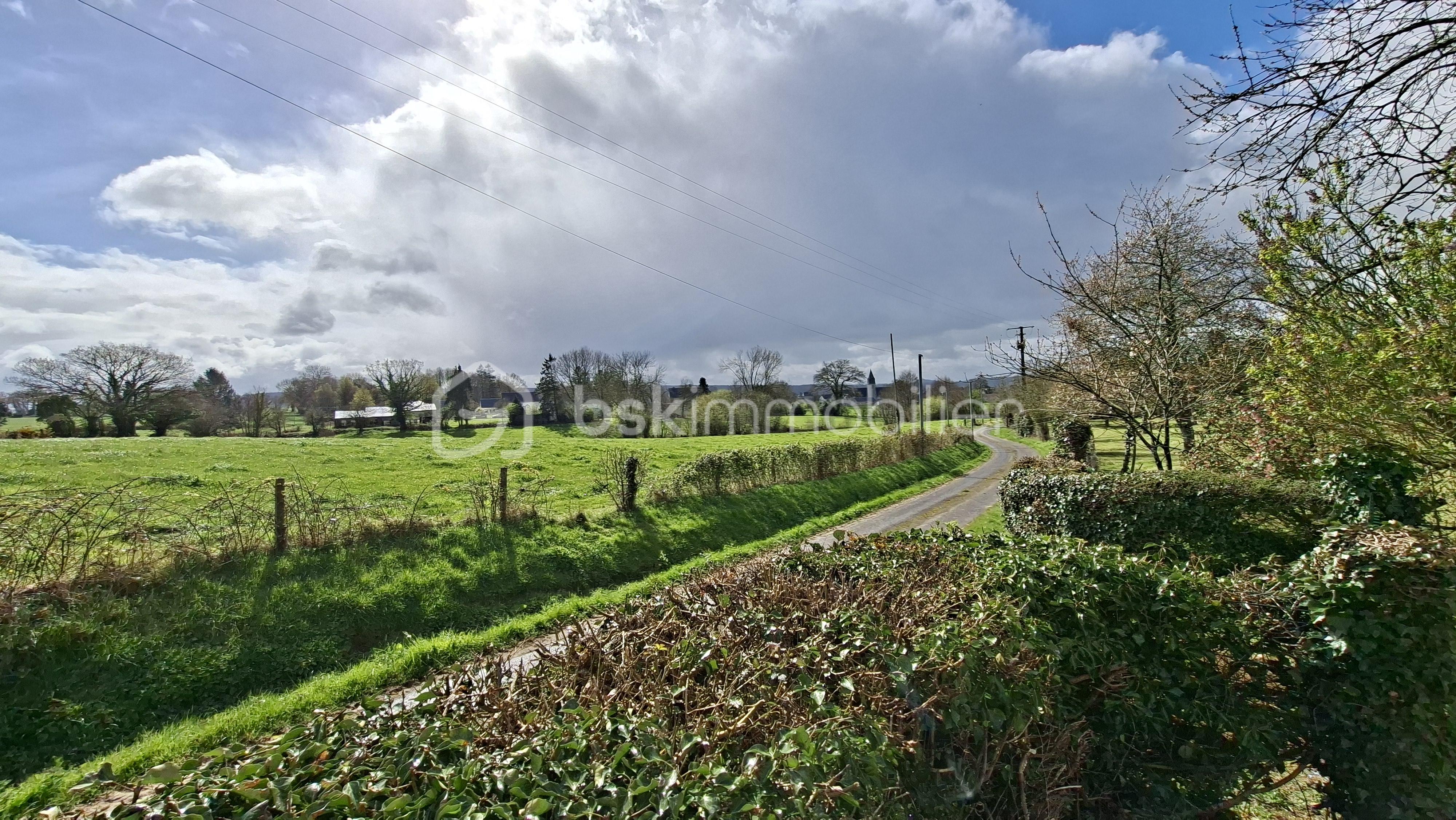 MAUDUIT vue sur bourg chemin .jpg