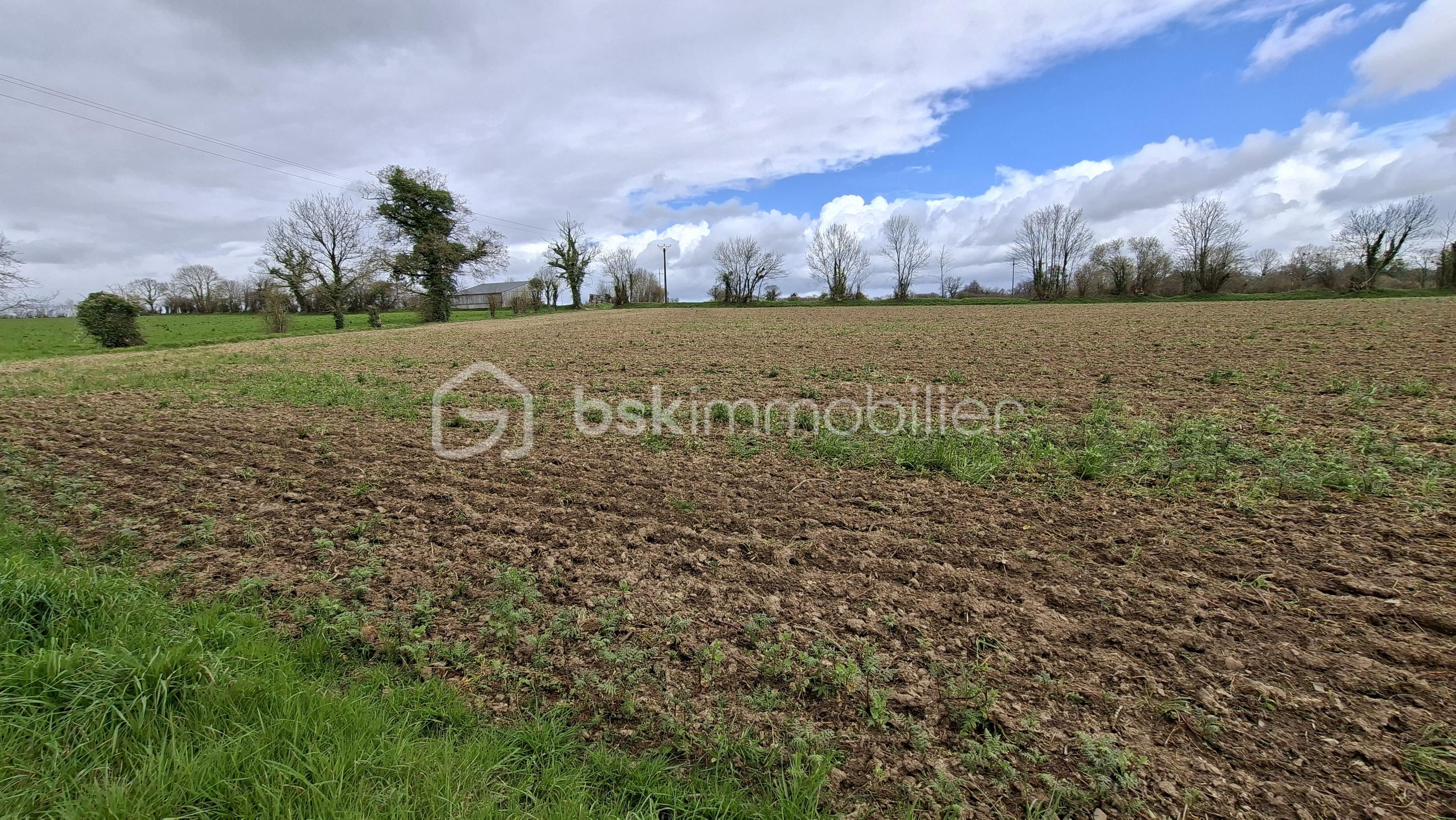 MAUDUIT labour loué .jpg