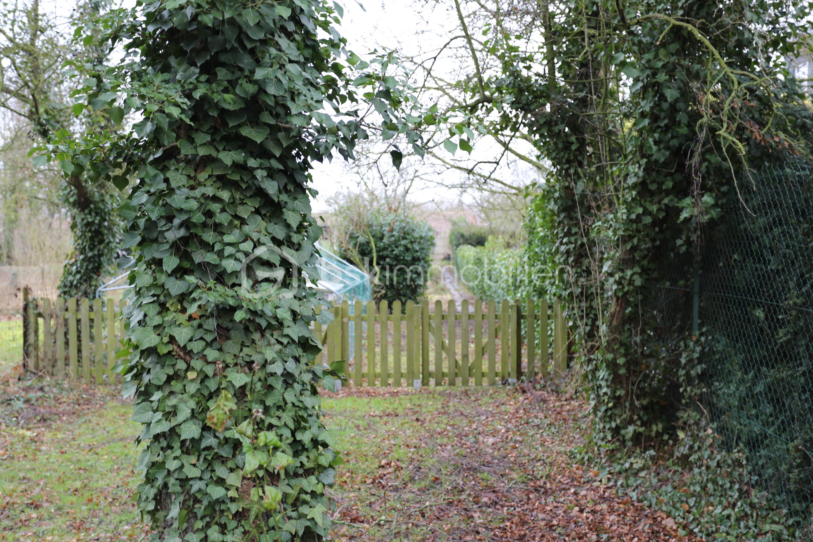 Maison de ville de 156 m² - Jardin 3.JPG