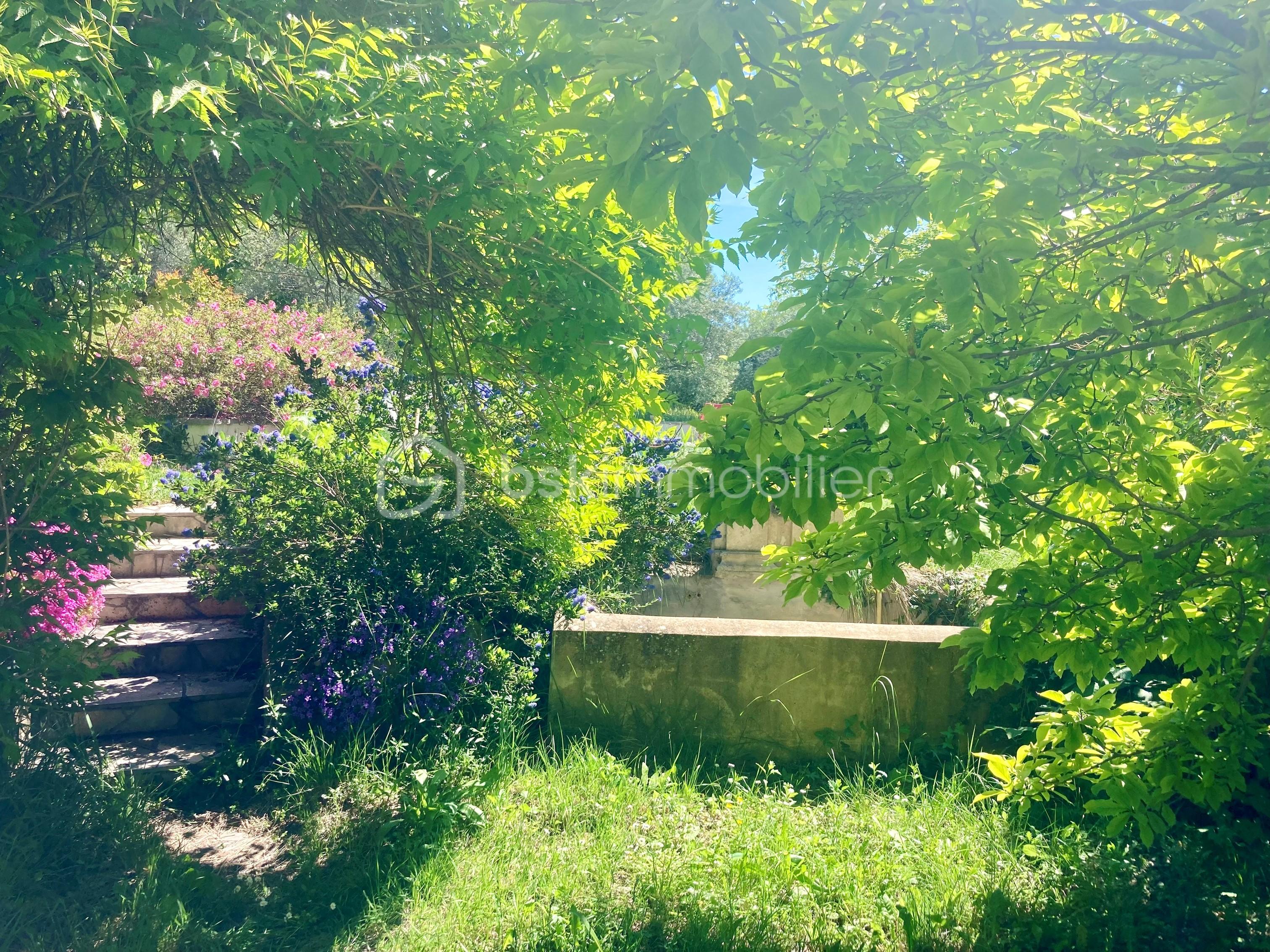 11 - Photo jardin fontaine.jpg