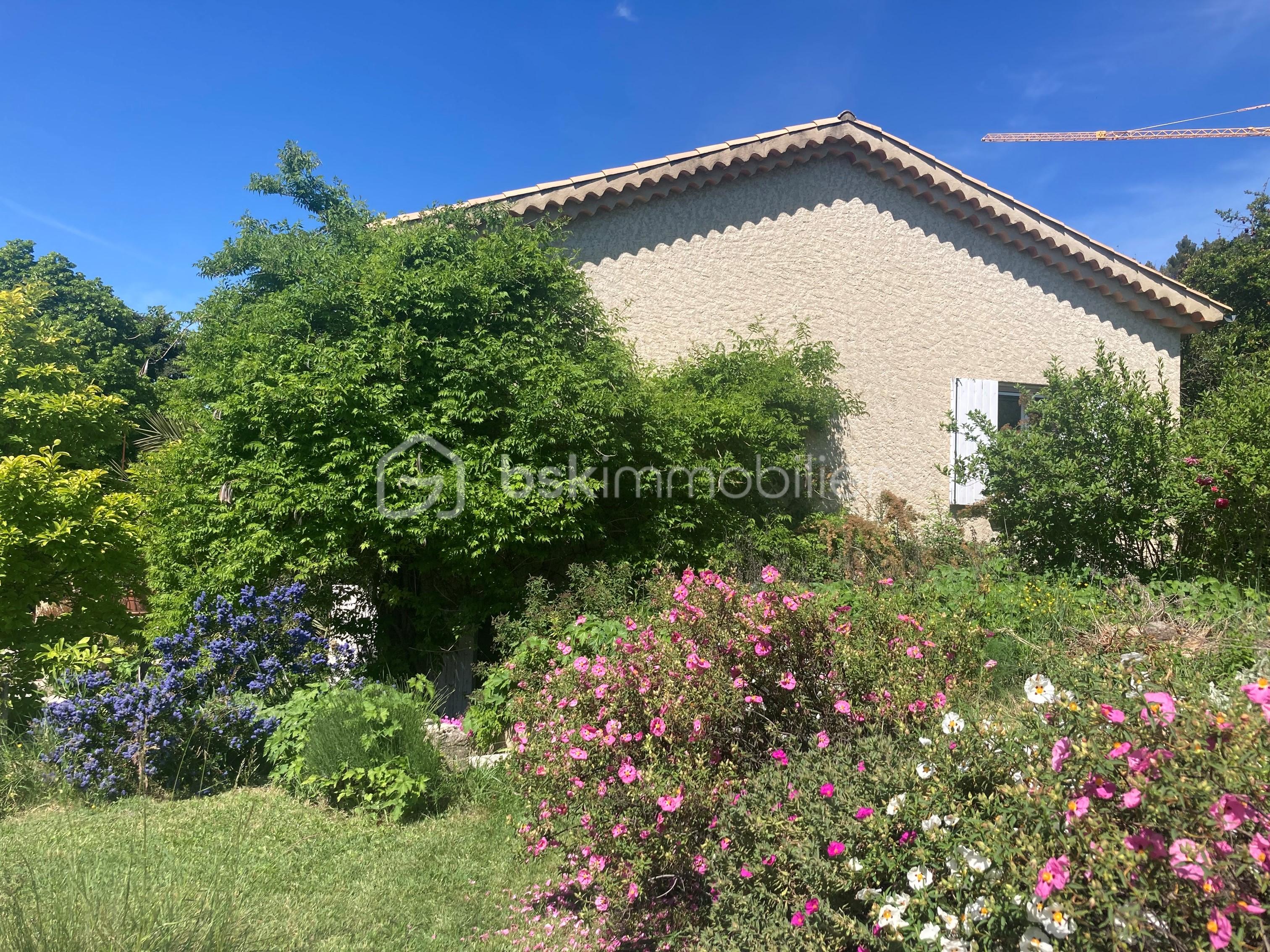 10 - Photo jardin vue est 2.jpg