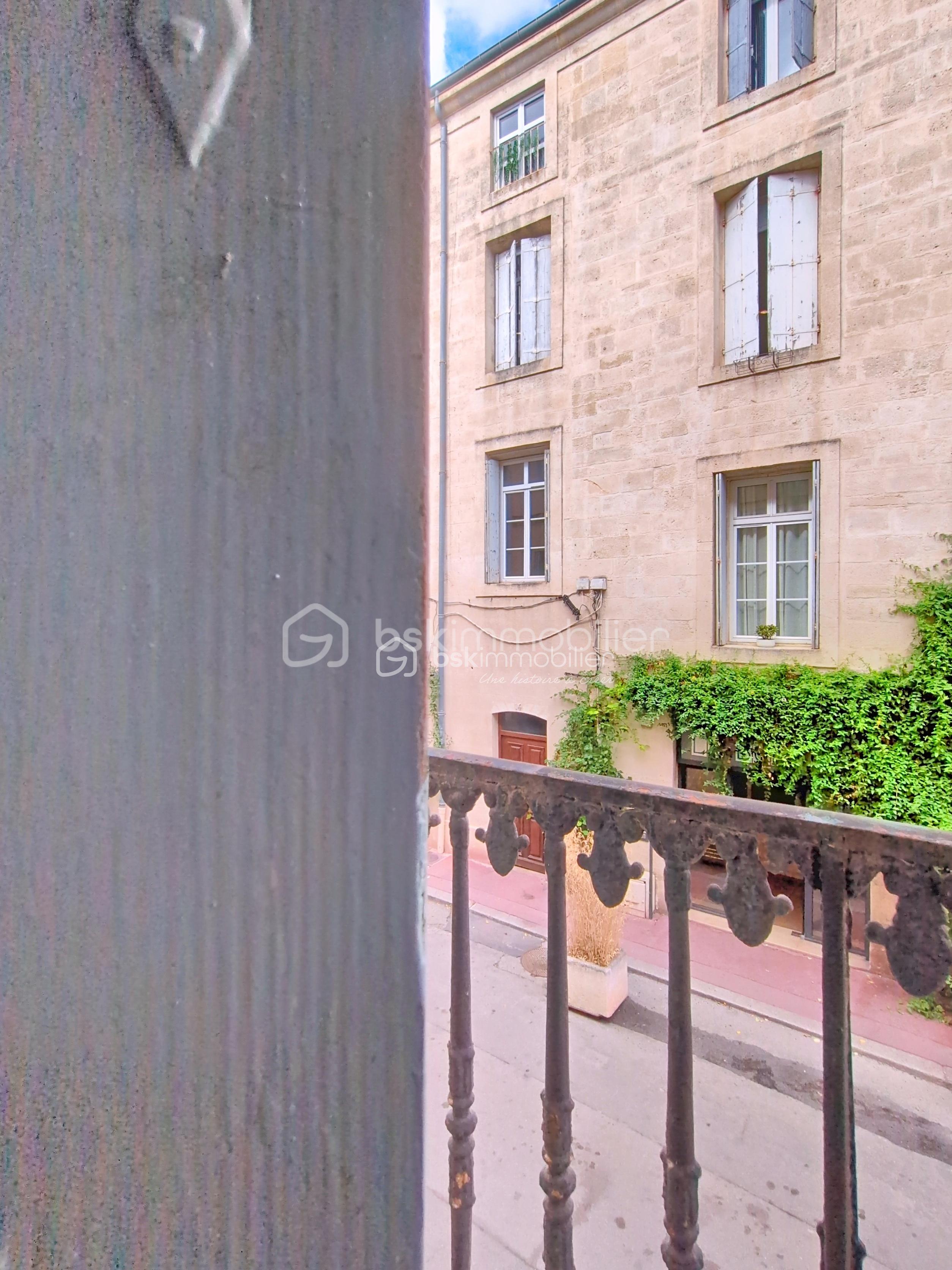 Appartement de 154,82 m² - Vue balcon.jpg