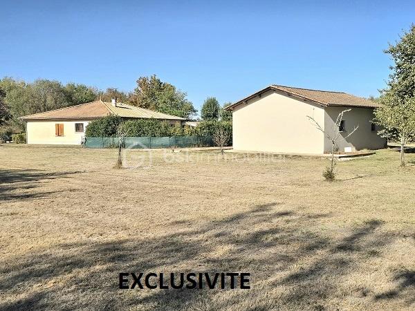 Exclusivité 4.jpg