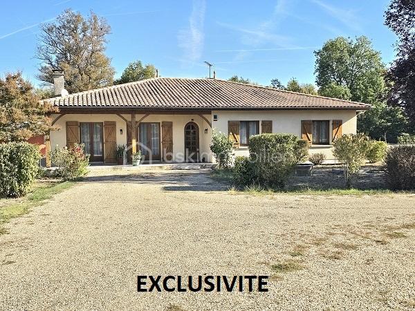 Exclusivité 3.jpg
