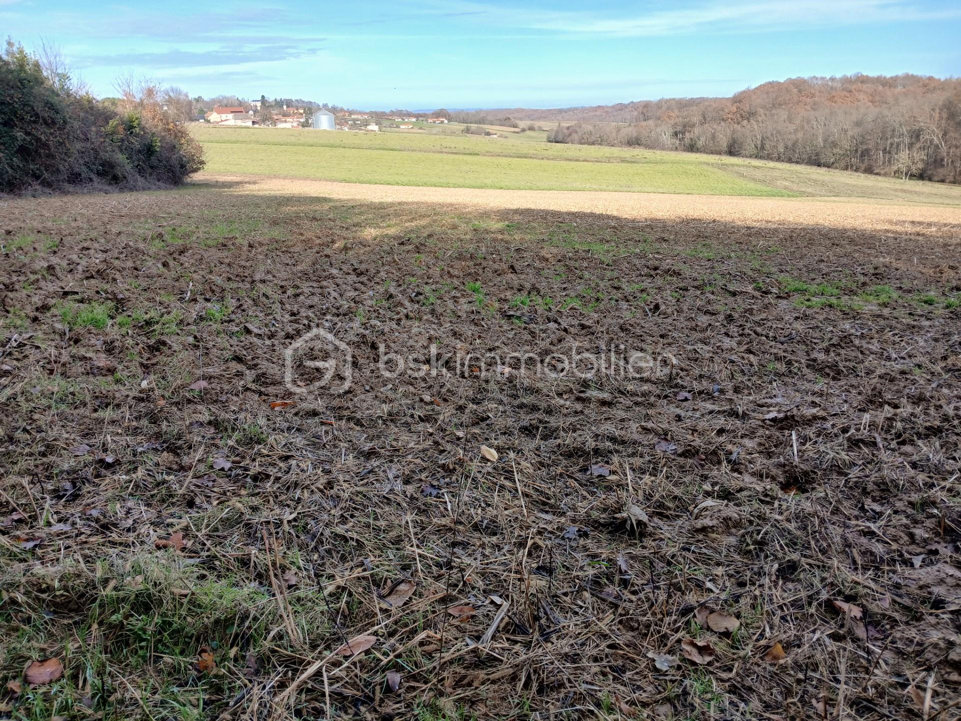 Terrain de 7 151 m² - thumbnail_20251216_144428.jpg