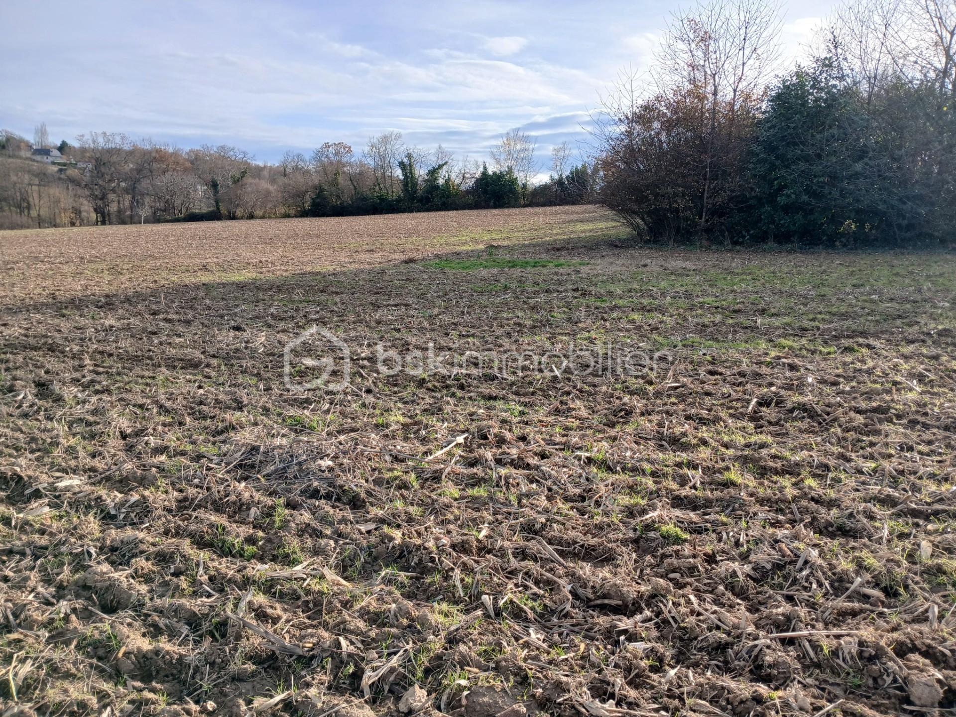 Terrain de 7 151 m² - thumbnail_20251216_144841.jpg