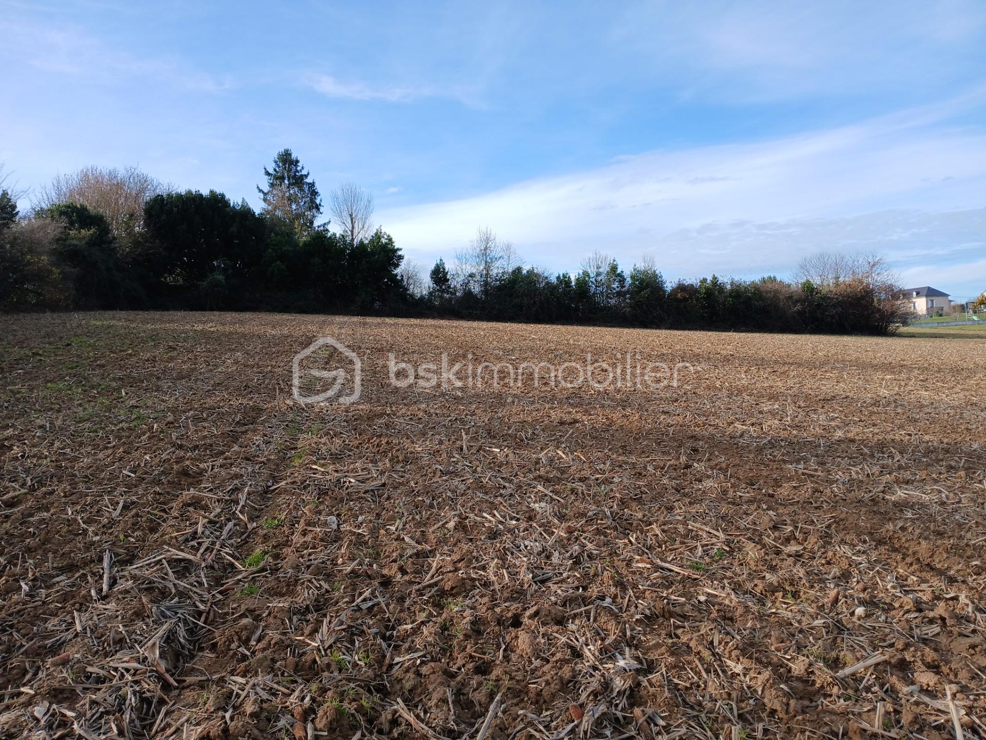 Terrain de 7 151 m²