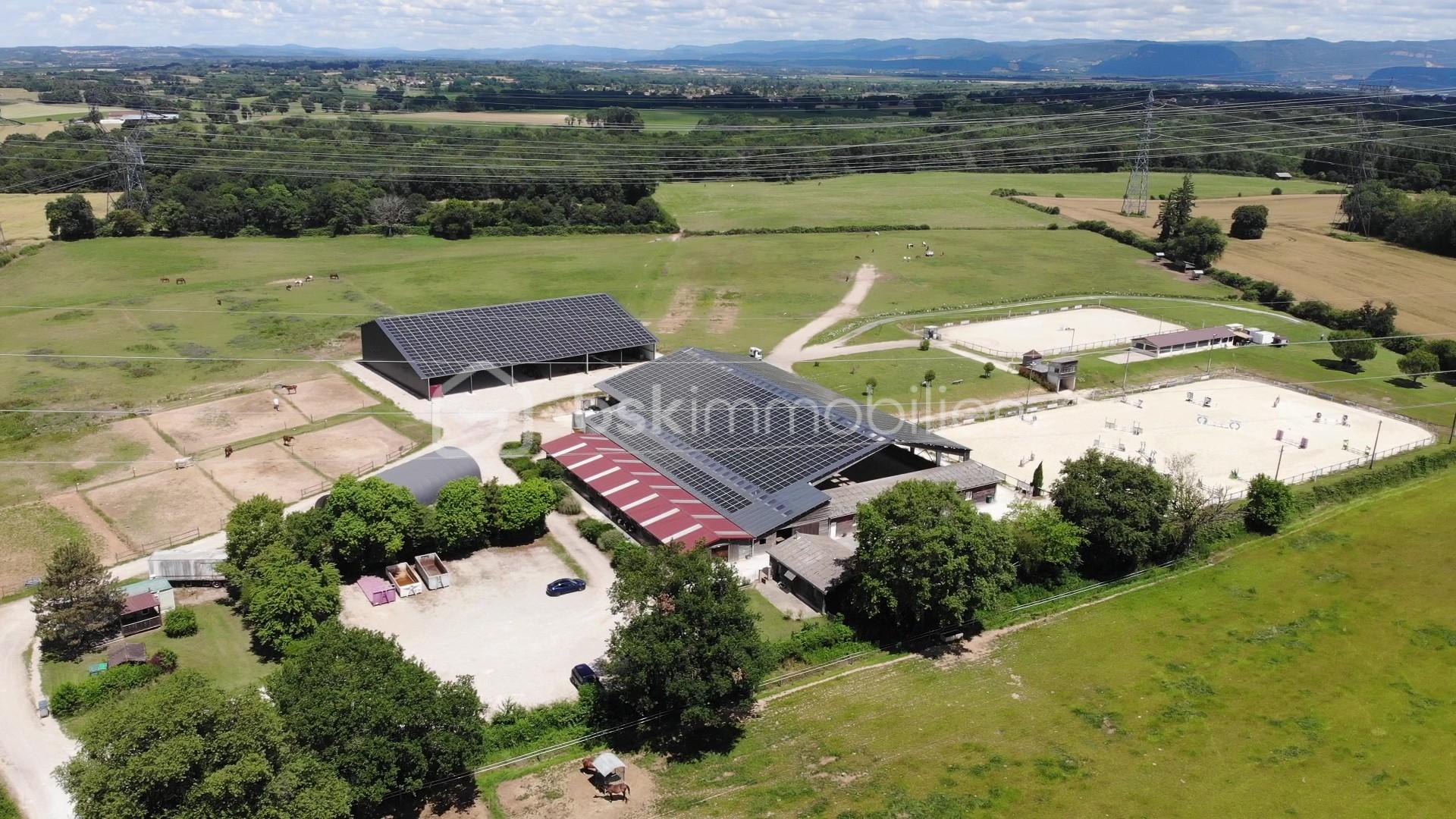 DJI_0170 - frame at 4m1s.jpg