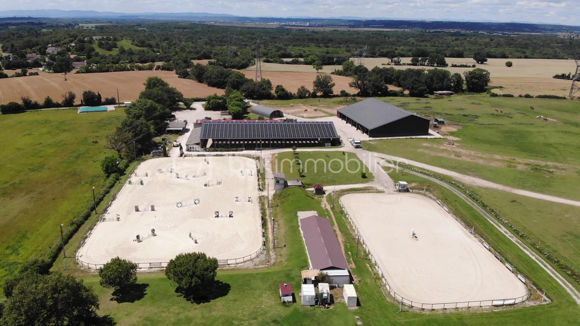 DJI_0170 - frame at 0m46s.jpg