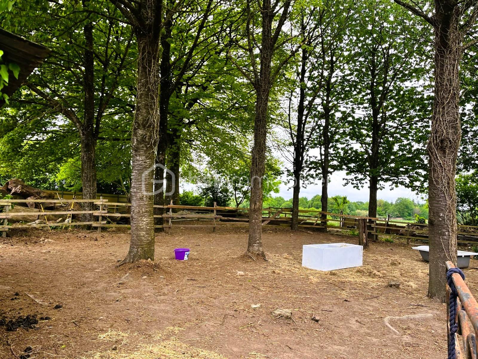 Maison en pierre de 124,99 m² - WhatsApp Image 2025-08-20 à 04.47.26_97e8a265.jpg
