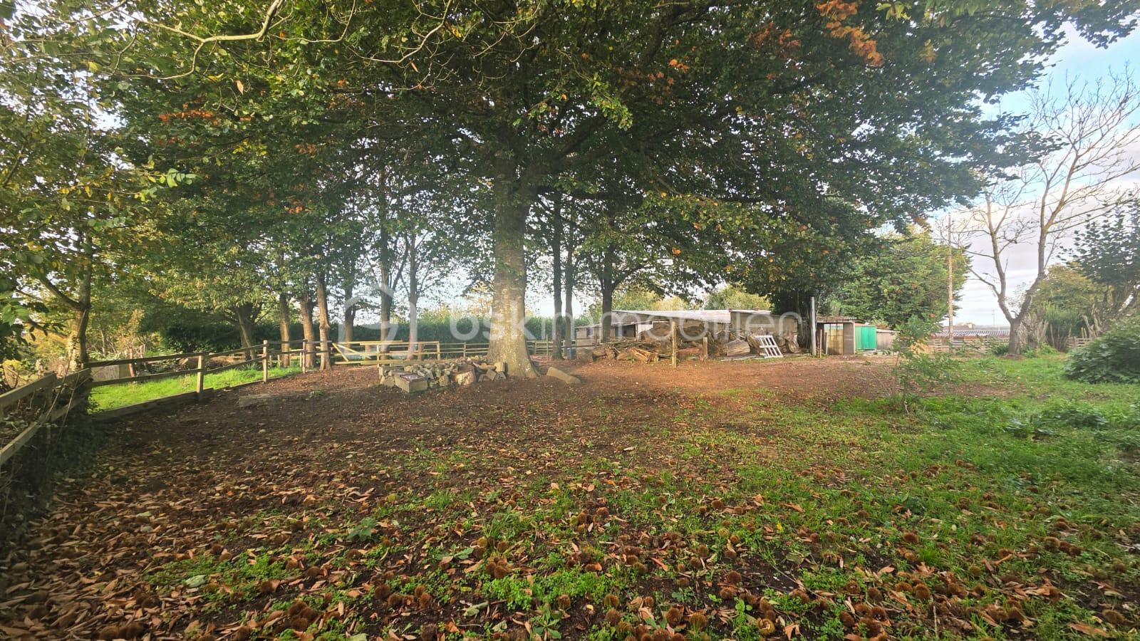 Maison en pierre de 125 m² - WhatsApp Image 2025-10-09 à 13.22.28_2e21b3c2.jpg