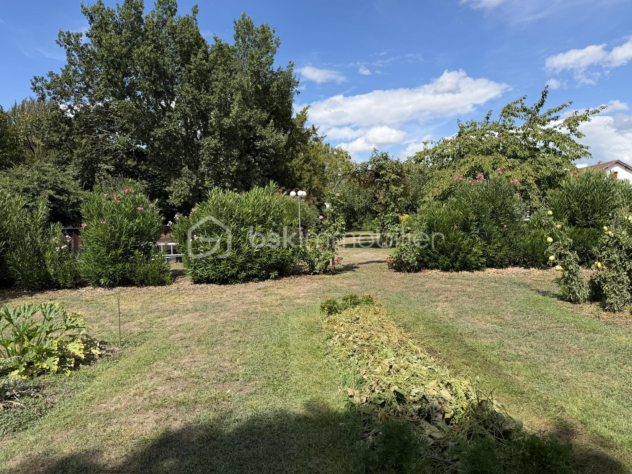 JARDIN2.jpeg