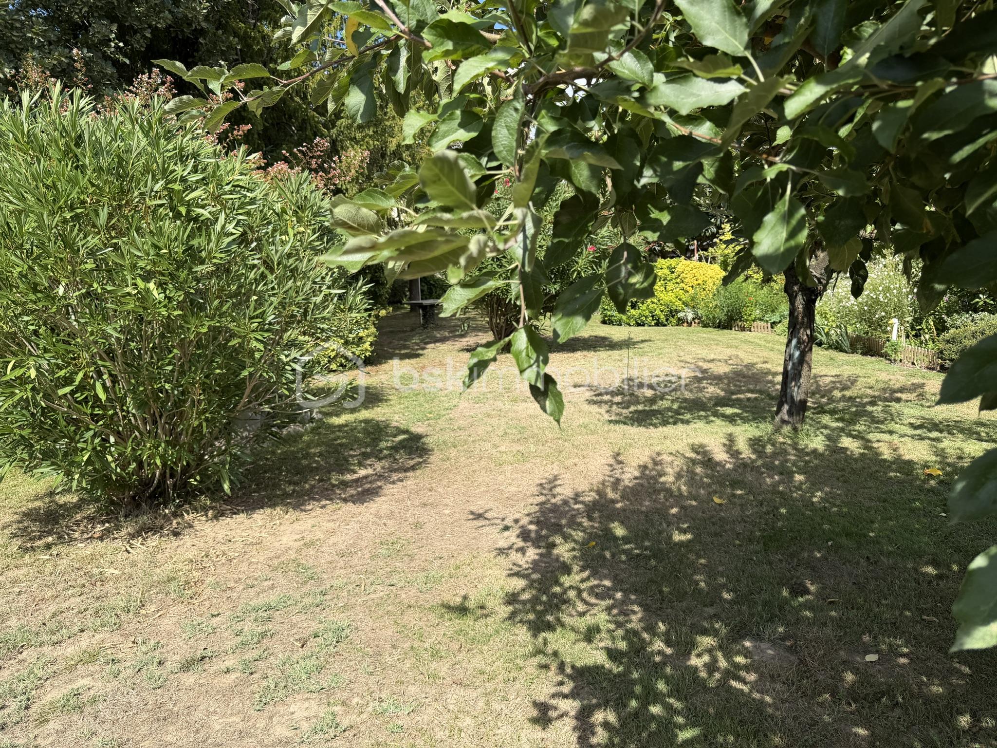 JARDIN.jpeg