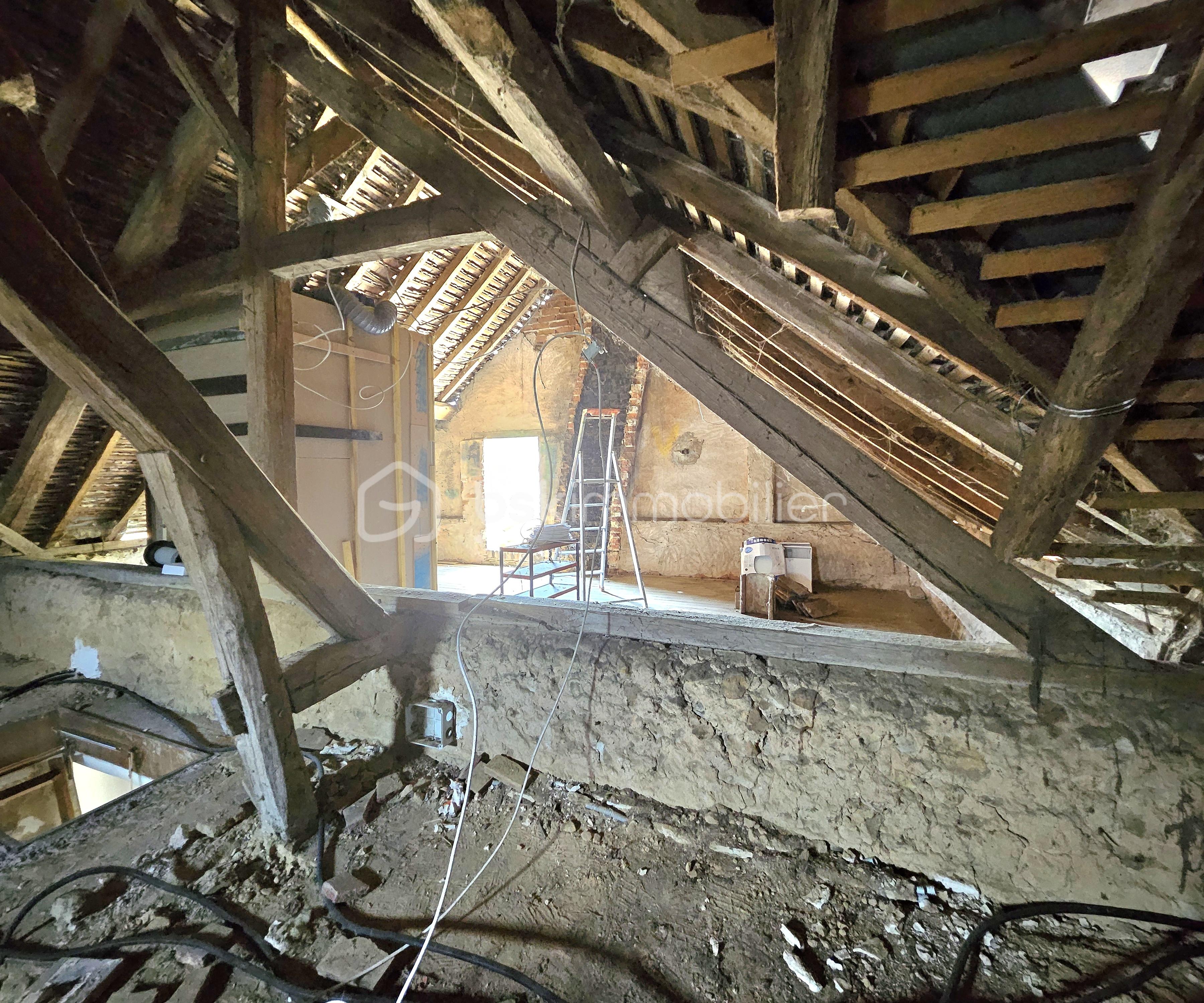 20240722_121159.jpg