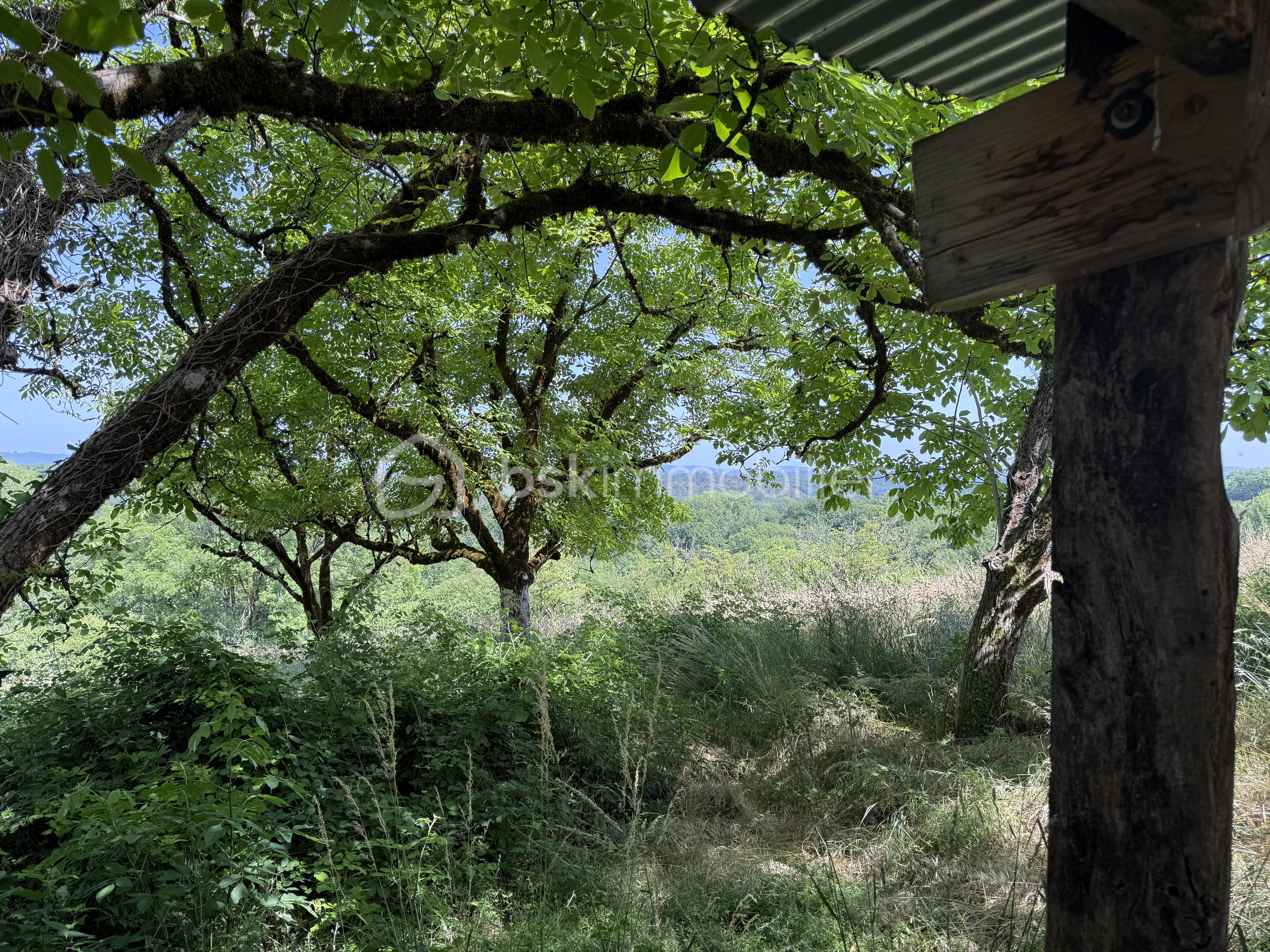 Terrain de 431 m² - image00010.jpeg