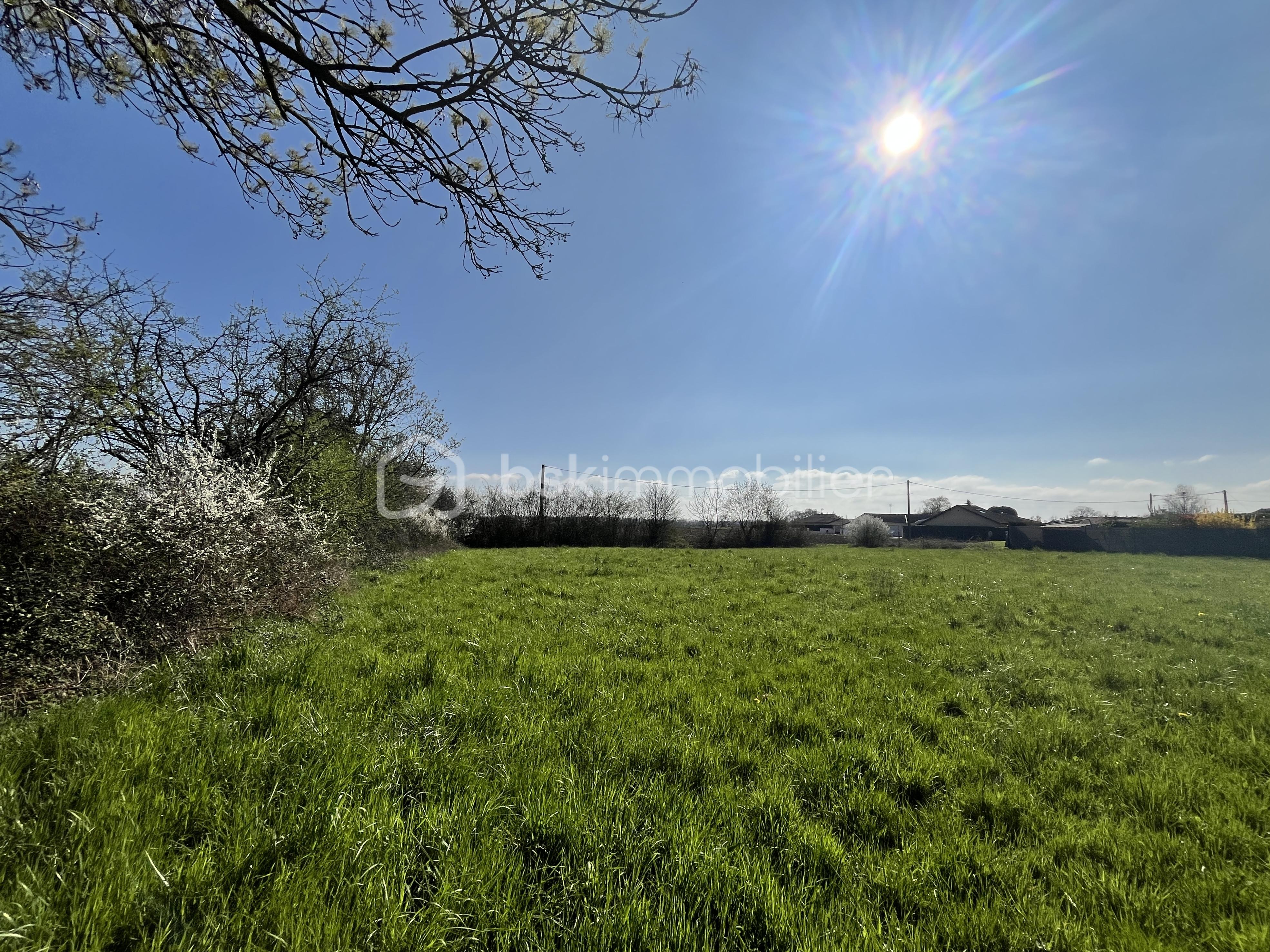 Immeuble de 264 m² - IMG_2940 2.jpg
