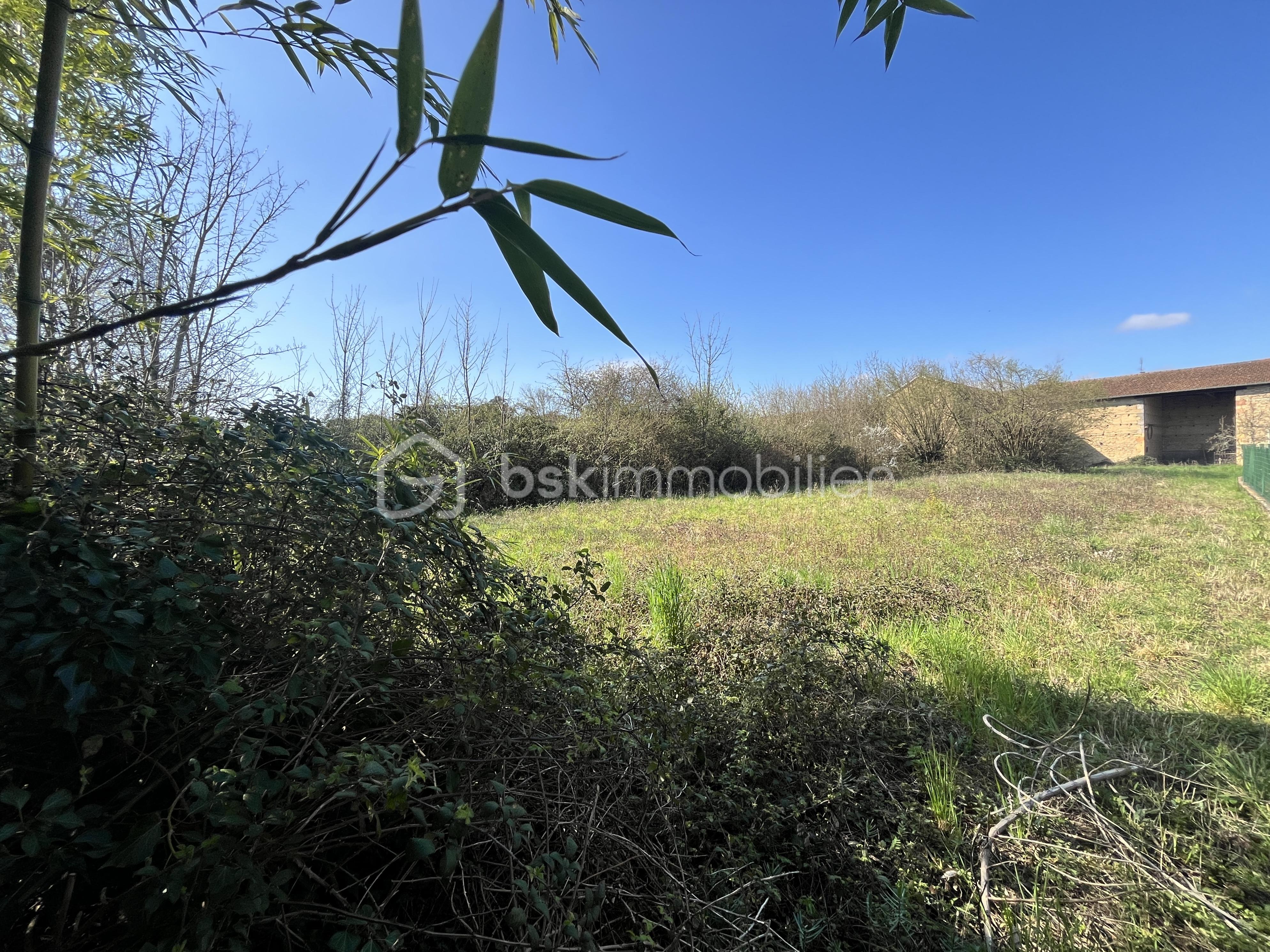 Immeuble de 264 m² - IMG_2944.jpg