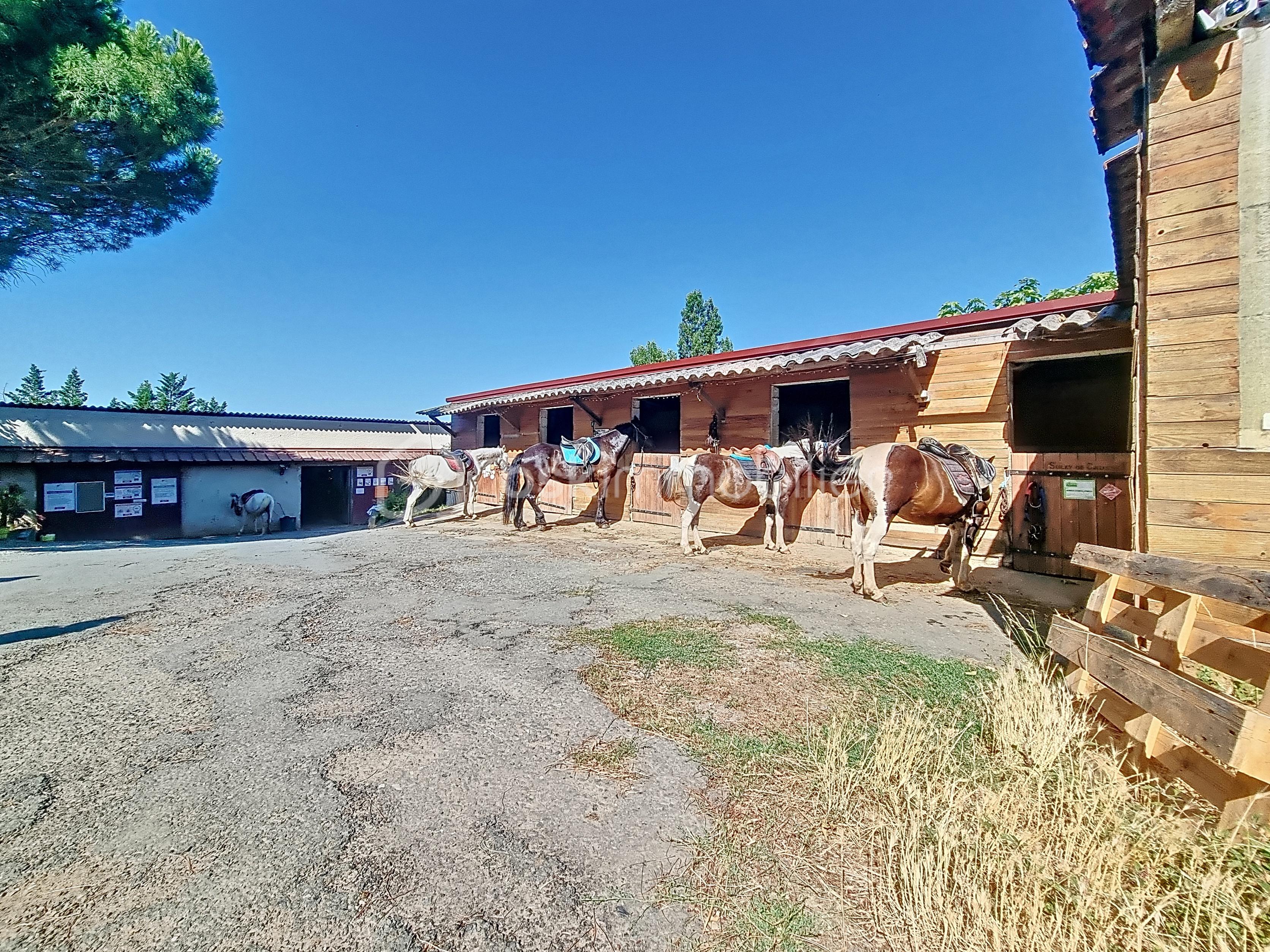 Corps de ferme de 250 m² - ecurie-yabas_00028.jpg