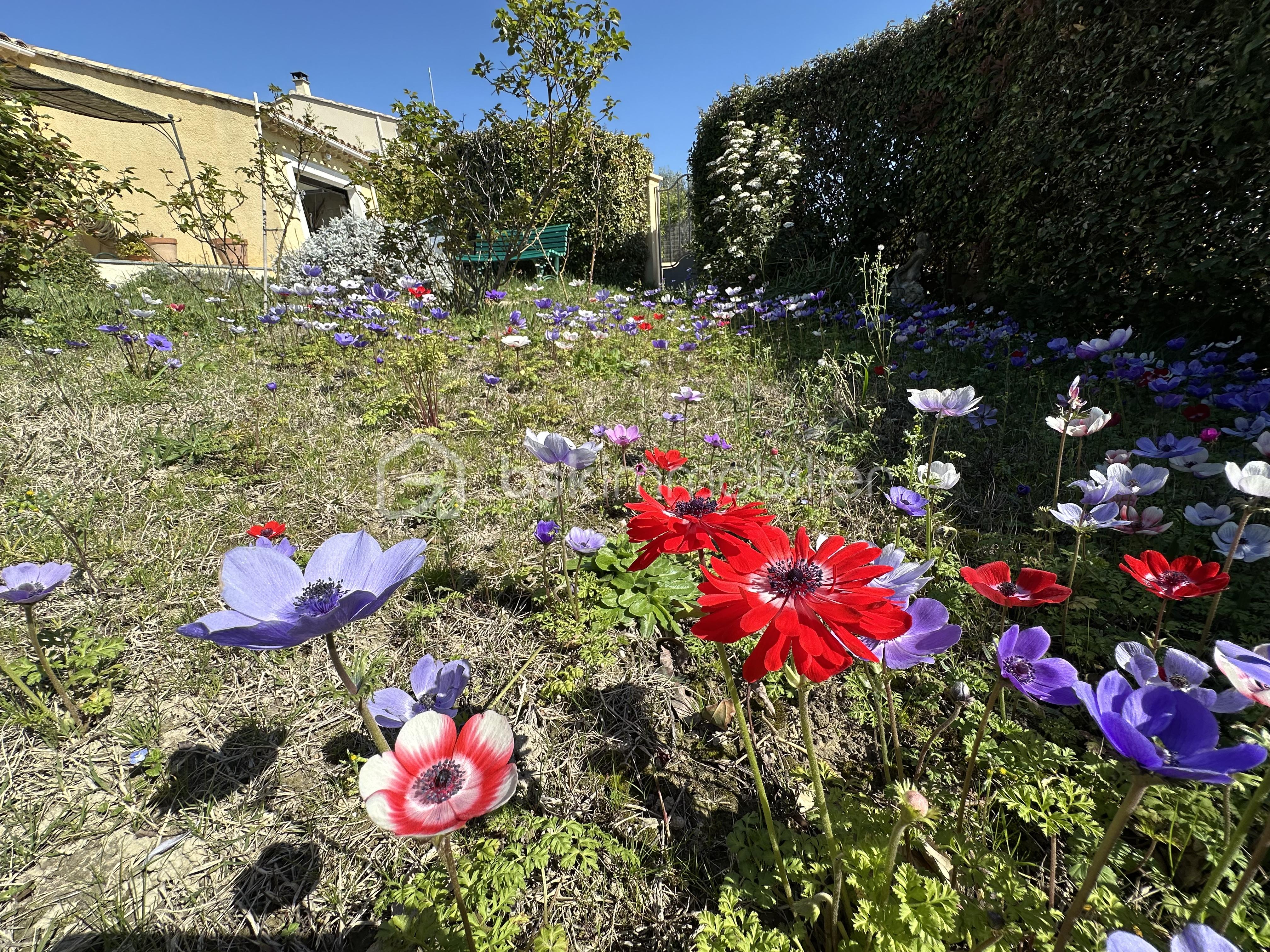 jardin fleuri vinsobres.JPG