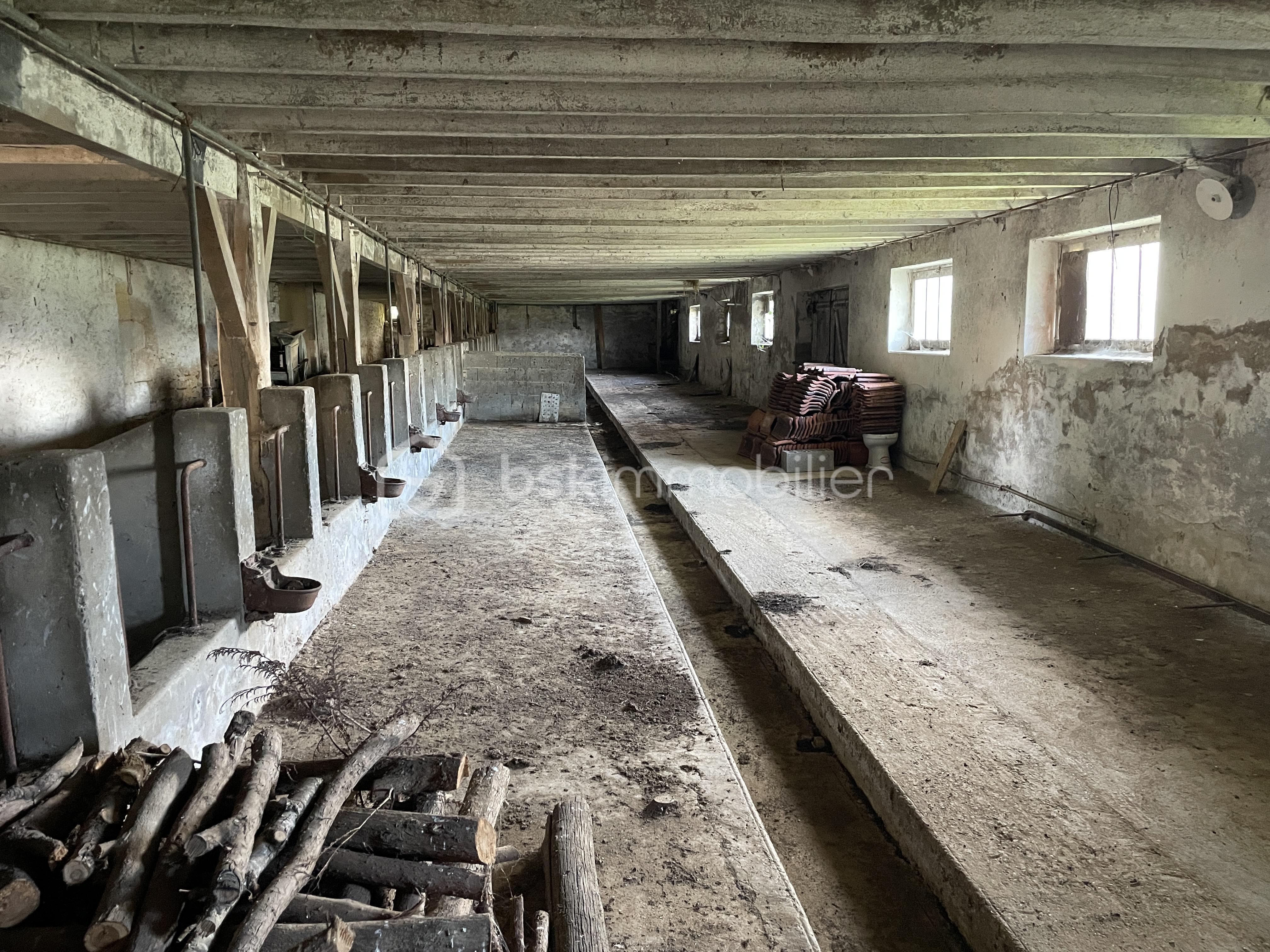 Propriete de 219 m² - IMG_1020.jpeg