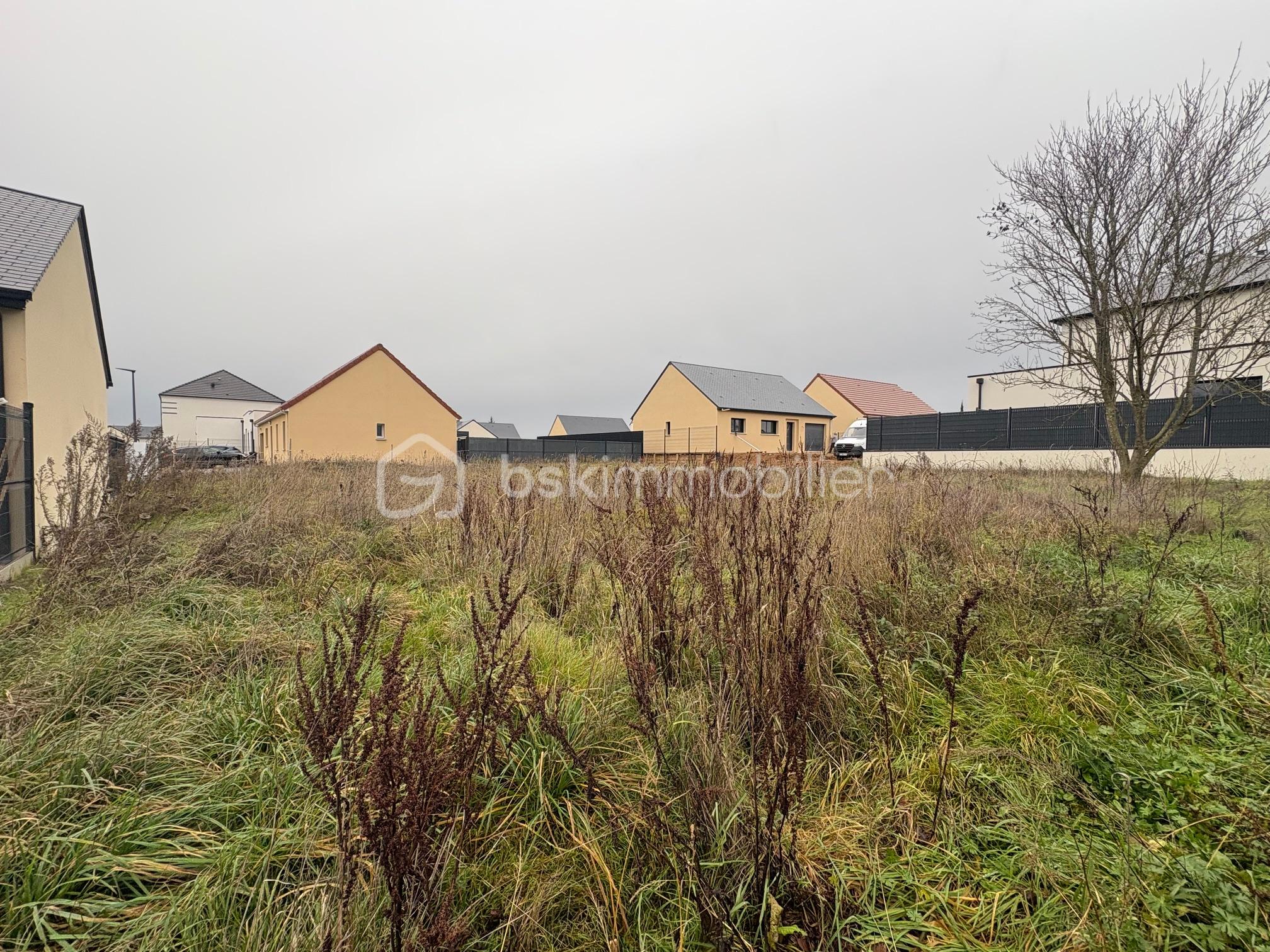 Terrain de 772 m² - IMG_0843.jpeg