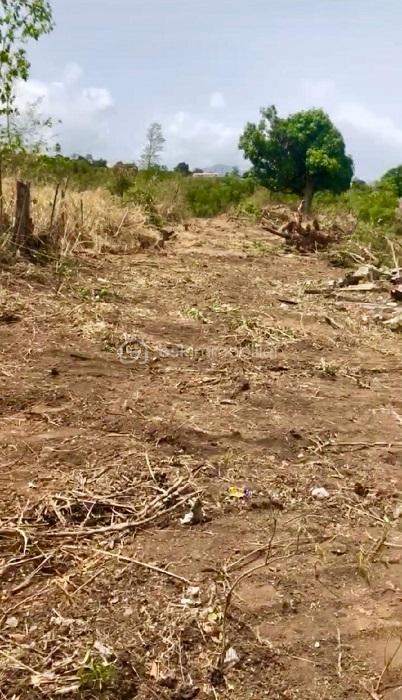 Terrain de 5 020 m² - Terrain nettoyé.jpg